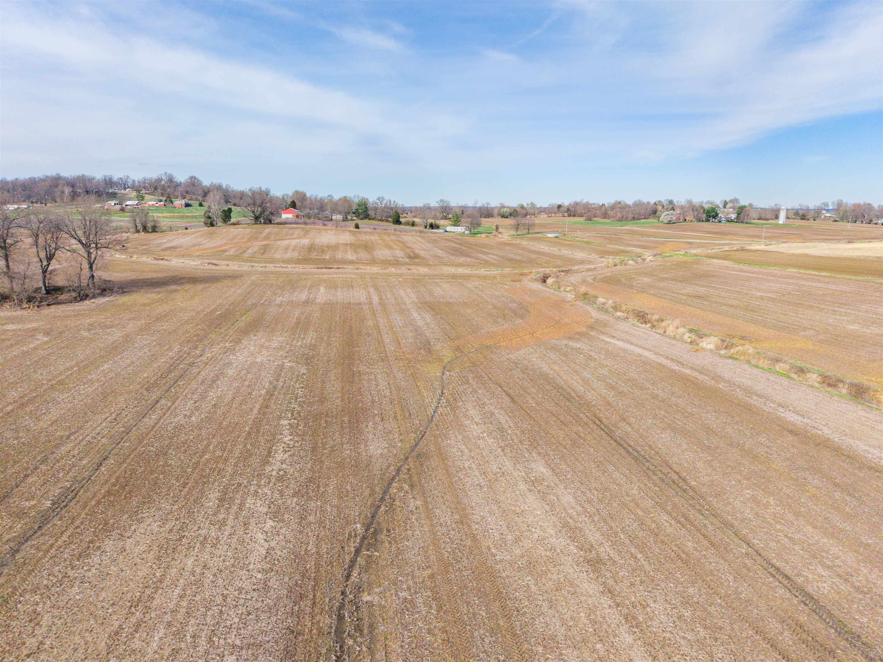 0000 Highway 762, Philpot, Kentucky 42366, ,Farm,For Sale,Highway 762,95587