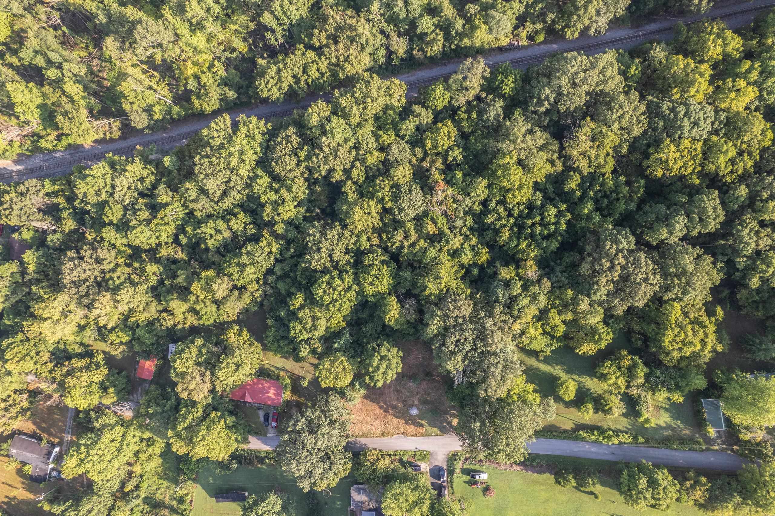 404 Echols Church Ln, Beaver Dam, Kentucky 42320, ,Land,For Sale,Echols Church Ln,95596
