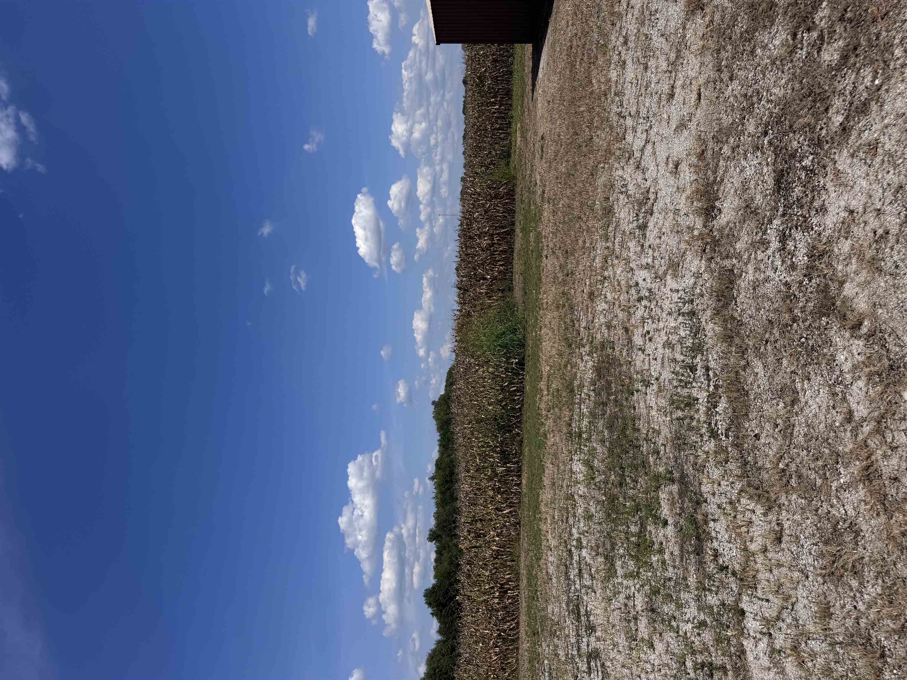1466 Fourth St., Hancock, Kentucky 42351, ,Land,For Sale,Fourth St.,95648