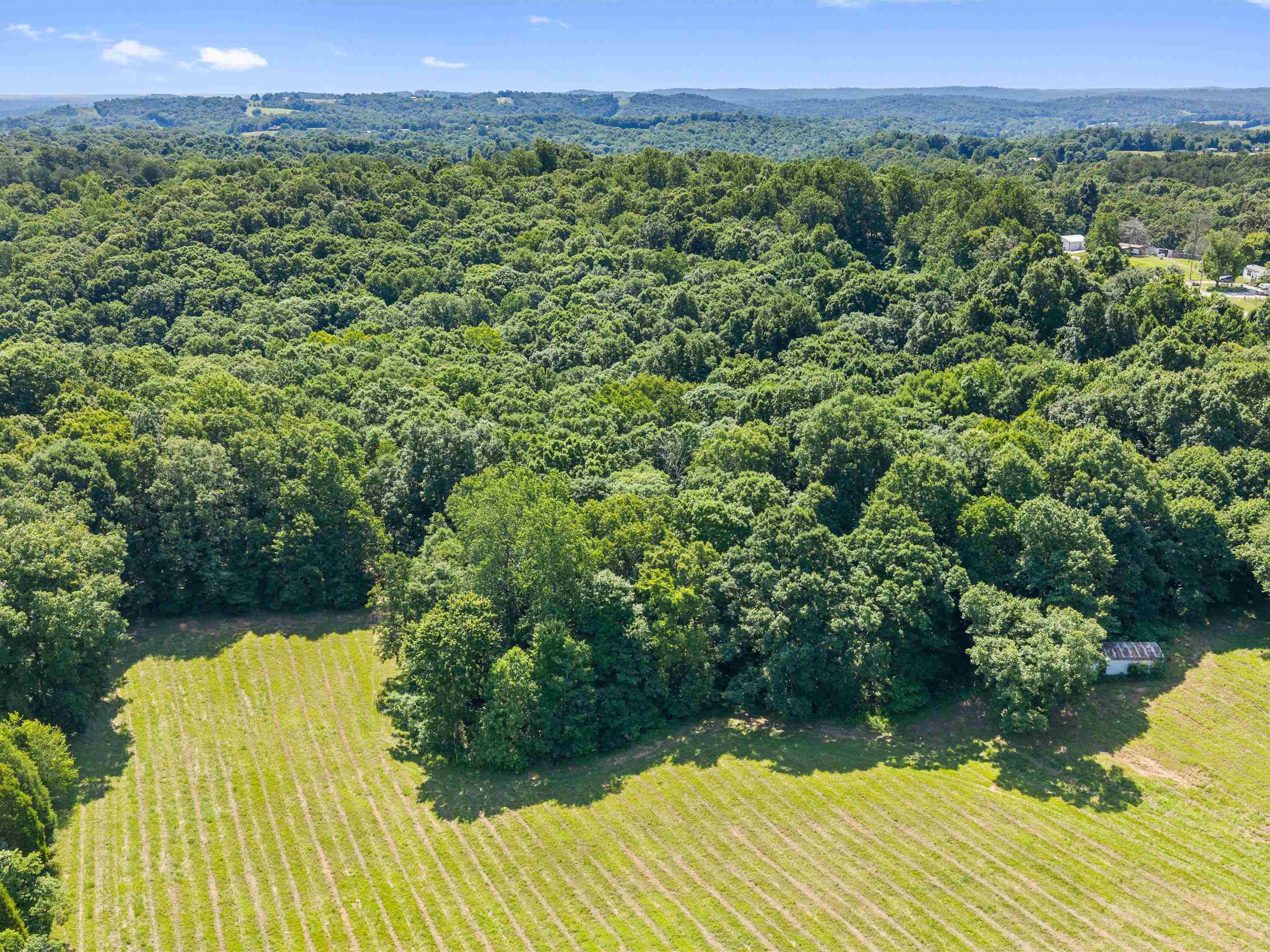 0 State Route 144 E (Parcel# 45-25), Hawesville, Kentucky 42348, ,Land,For Sale,State Route 144 E (Parcel# 45-25),95752