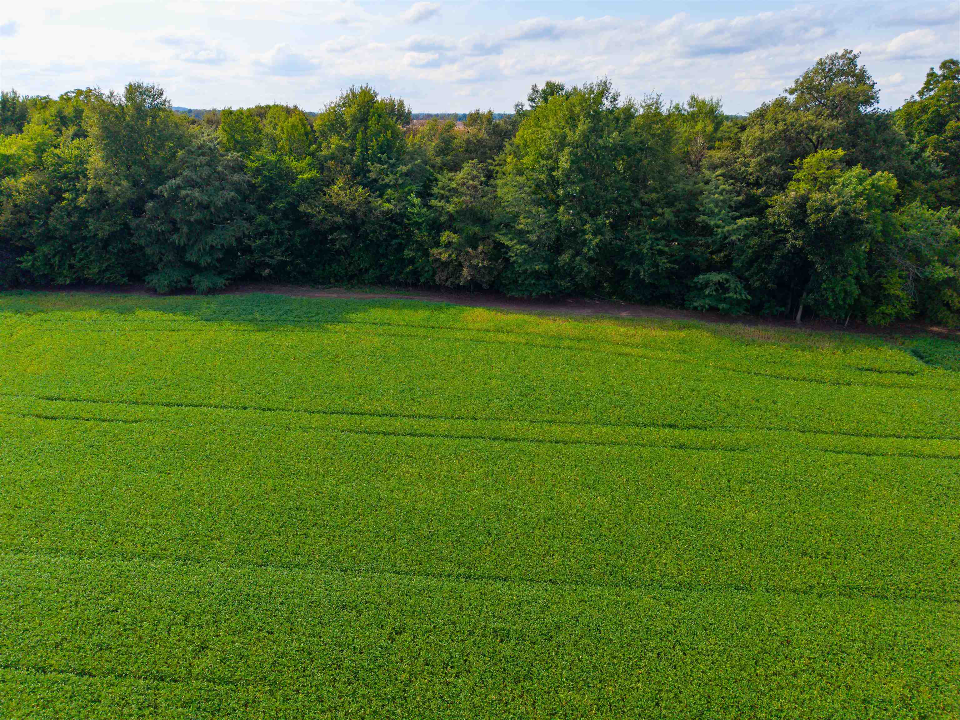 0000 Stanley-Birk City Road, Owensboro, Kentucky 42301, ,Land,For Sale,Stanley-Birk City Road,95756