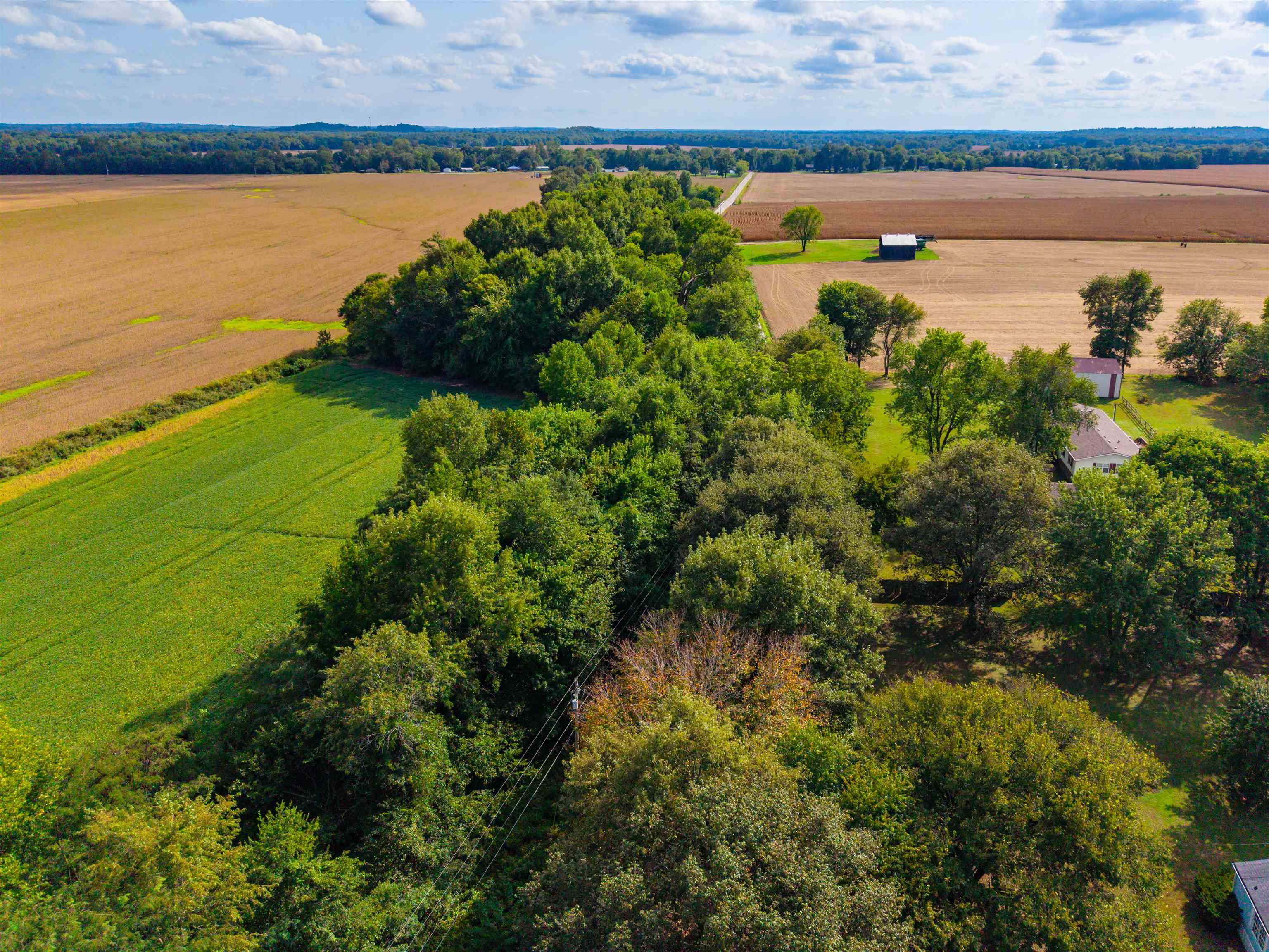 0000 Stanley-Birk City Road, Owensboro, Kentucky 42301, ,Land,For Sale,Stanley-Birk City Road,95756