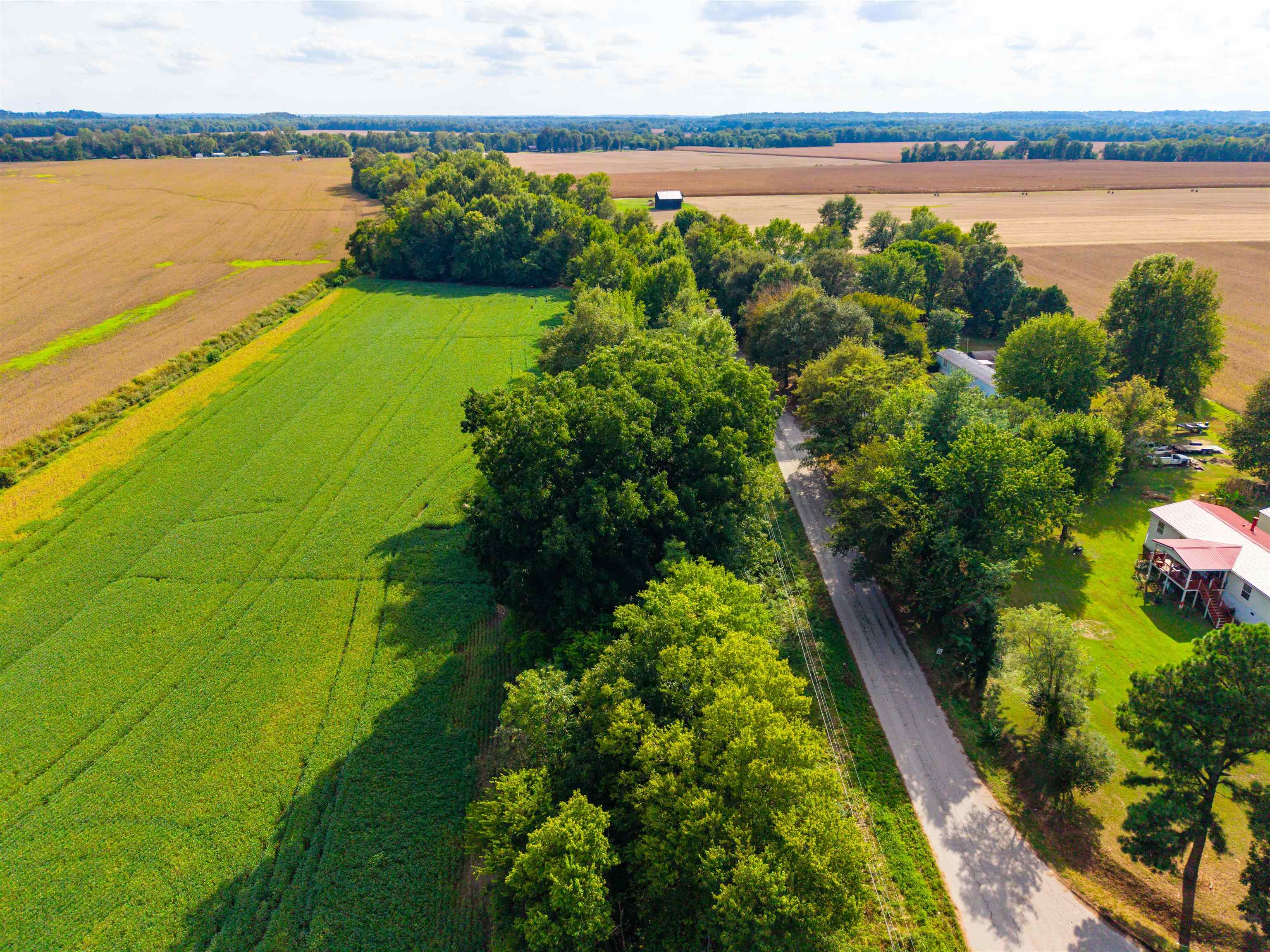 0000 Stanley-Birk City Road, Owensboro, Kentucky 42301, ,Land,For Sale,Stanley-Birk City Road,95756