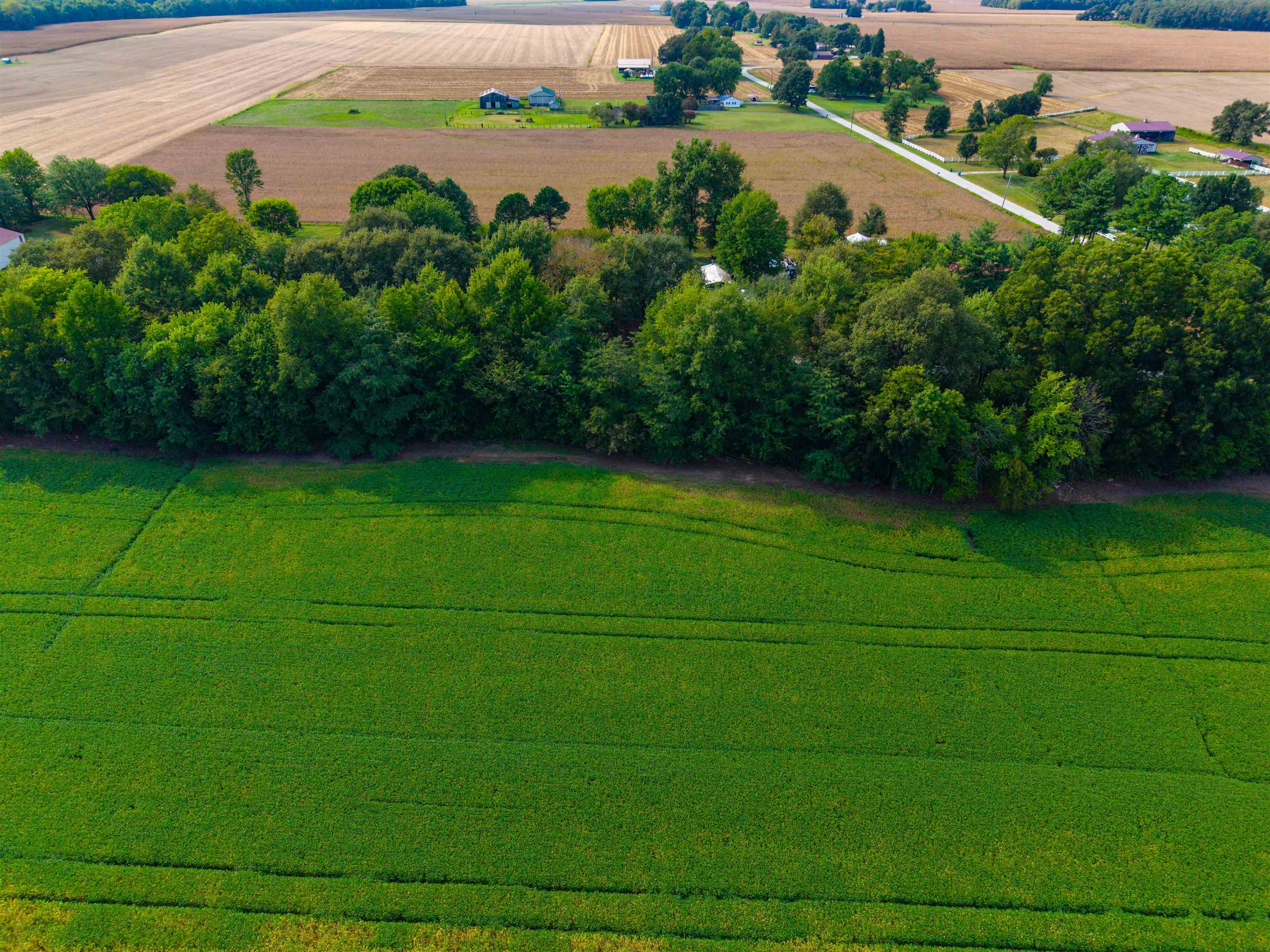 0000 Stanley-Birk City Road, Owensboro, Kentucky 42301, ,Land,For Sale,Stanley-Birk City Road,95756