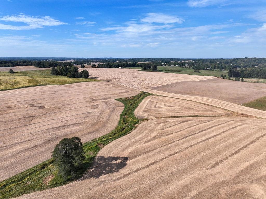 5200 Barn Hill Rd, Philpot, Kentucky 42366, ,Farm,For Sale,Barn Hill Rd,95915