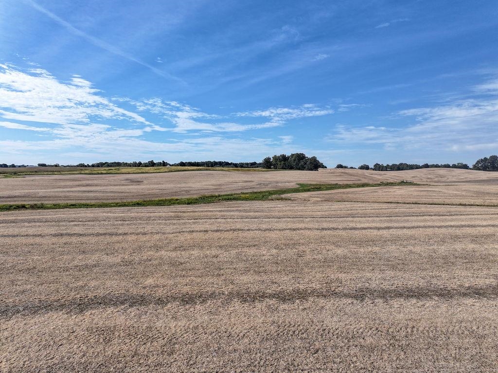 5200 Barn Hill Rd, Philpot, Kentucky 42366, ,Farm,For Sale,Barn Hill Rd,95915