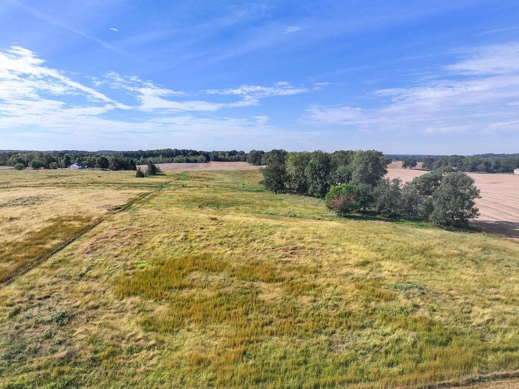 5200 Barn Hill Rd, Philpot, Kentucky 42366, ,Farm,For Sale,Barn Hill Rd,95915