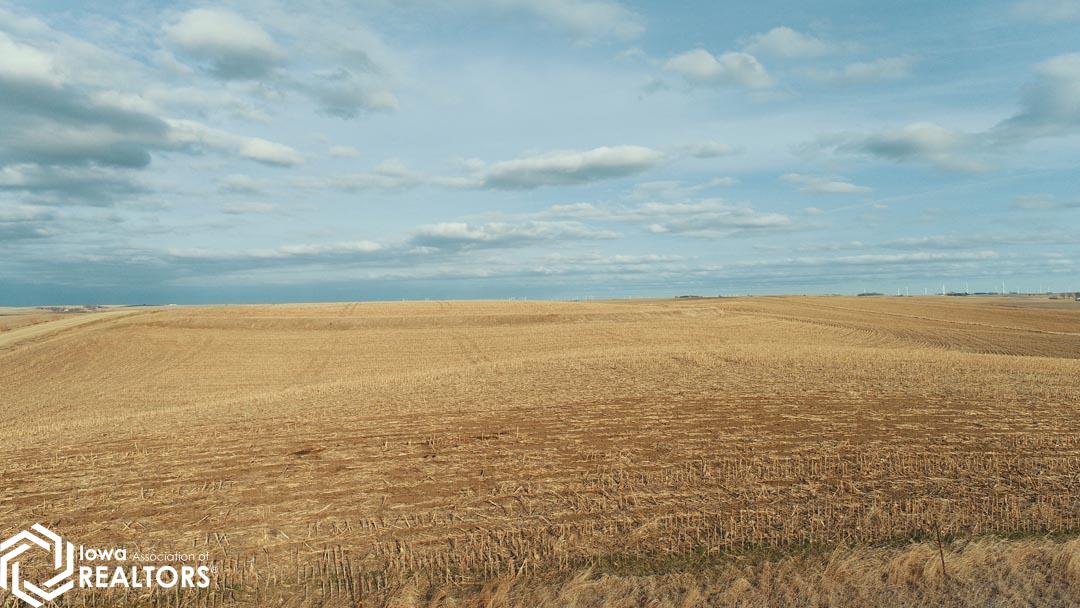 portfolio-image