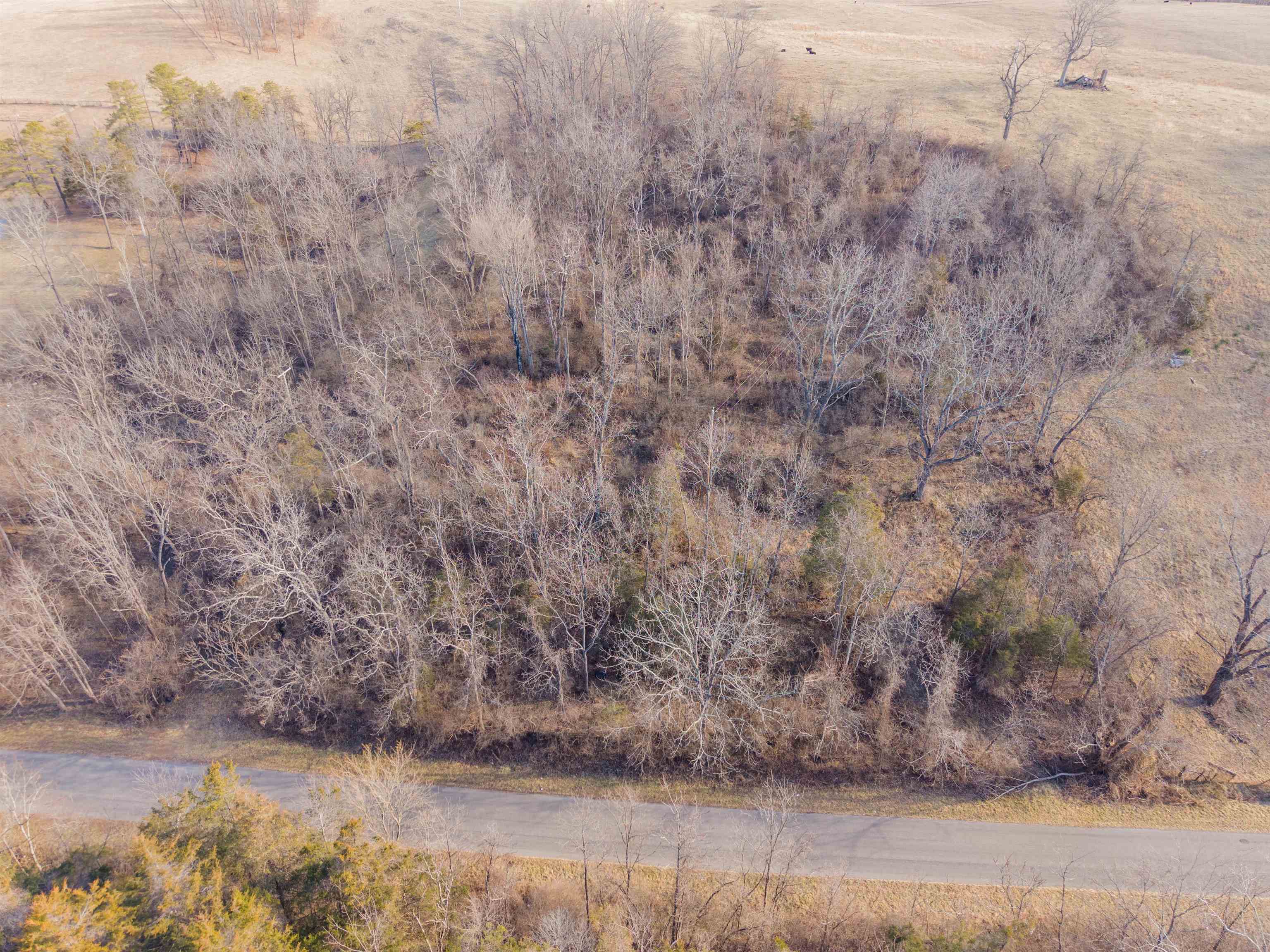 Discover the perfect canvas for your vision! These two adjoining lots total 0.75 acres and offer a rare blend of tranquil countryside living with unbeatable urban convenience. Located just on the outskirts of town, you're only moments away from major interstate routes.  Enjoy easy access to a variety of local favorites, from quaint boutique shopping to bustling dining options and everyday essentials.  An existing power company easement with a tower is located between the parcels, offering exceptionally easy access to electricity for future building.  The property includes an on-site well (located toward the rear of the right parcel).   This location delivers the privacy you want with the proximity you need.