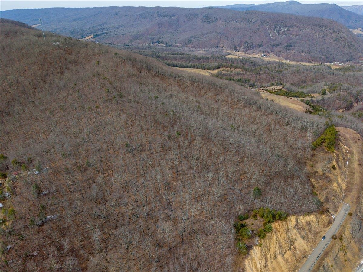 Beautiful opportunity to build on Little Walker Mountain on the west side of SR-100 in Pulaski County. Panoramic views!  This property offers a peaceful, rural setting with easy access to town, making it ideal for a homesite, recreational getaway, or investment. Enjoy mountain views, privacy, and the natural beauty of Southwest Virginia while still being conveniently located near Pulaski and Dublin.