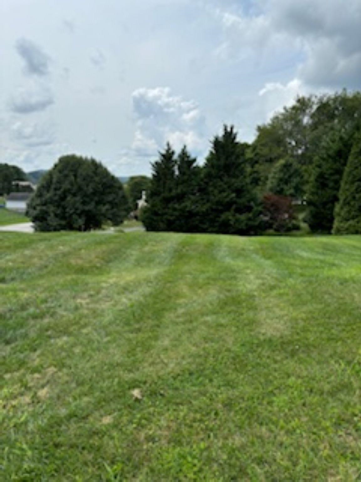 Nice Building Lot with Public Utilities Available. Located on a Cul-de-Sac within Walking Distance to New Park. Enjoy nearby Shopping, Restaurants, NRV Mall, & Huckleberry Trail. Ideal  Location is just minutes to Blacksburg, Easy Commute to Radford & I-81.