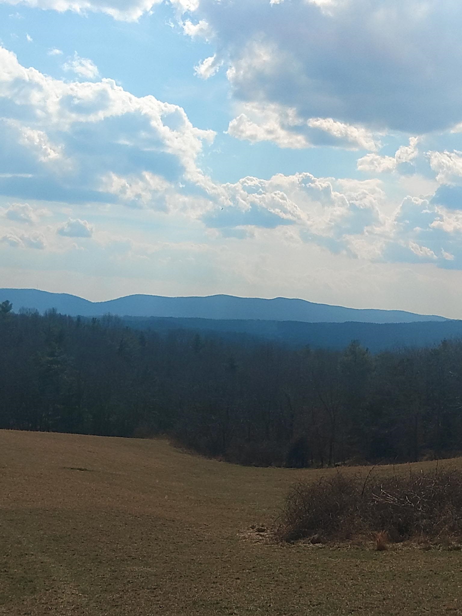 20+ beautiful acres, located in the Riner section of Floyd County. Excellent piece of property perfect for building with great views. Fantastic for recreational hunting and easy access. Priced to sell!