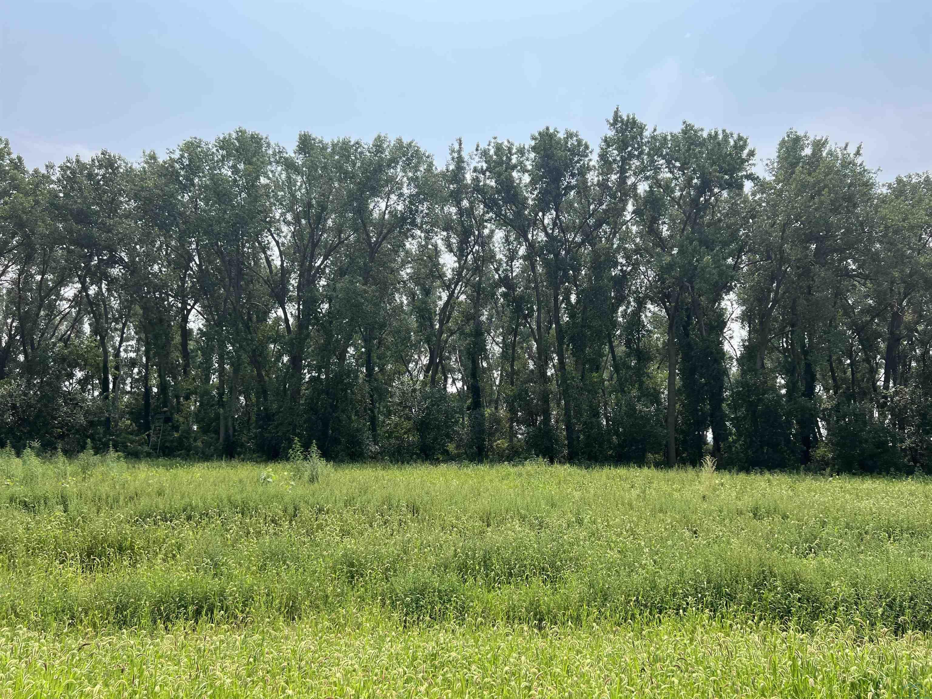 46055 Daniel Place, Vermillion, SD 57069 