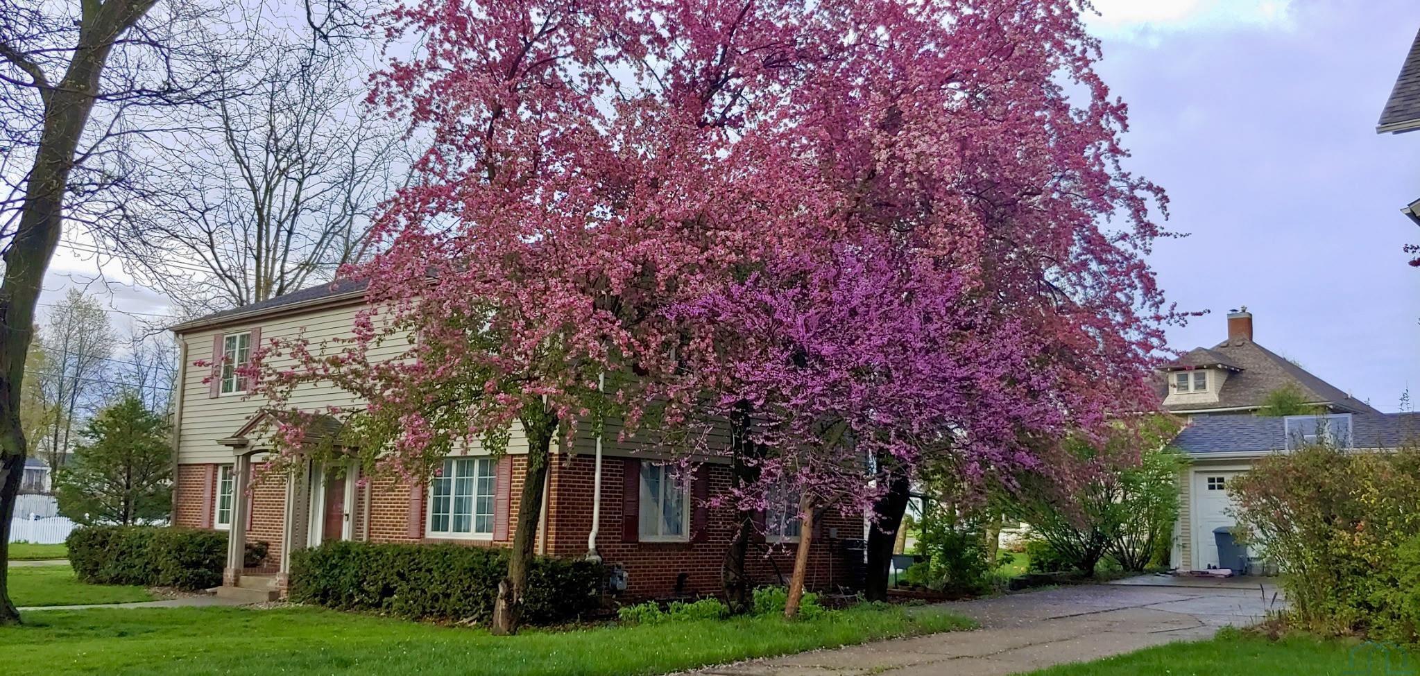 227 Lake Ave, Storm Lake, IA 50588 