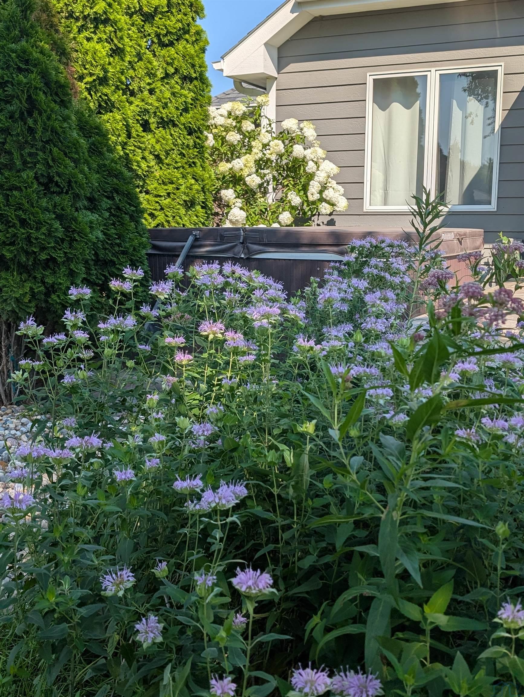 MLS #832371