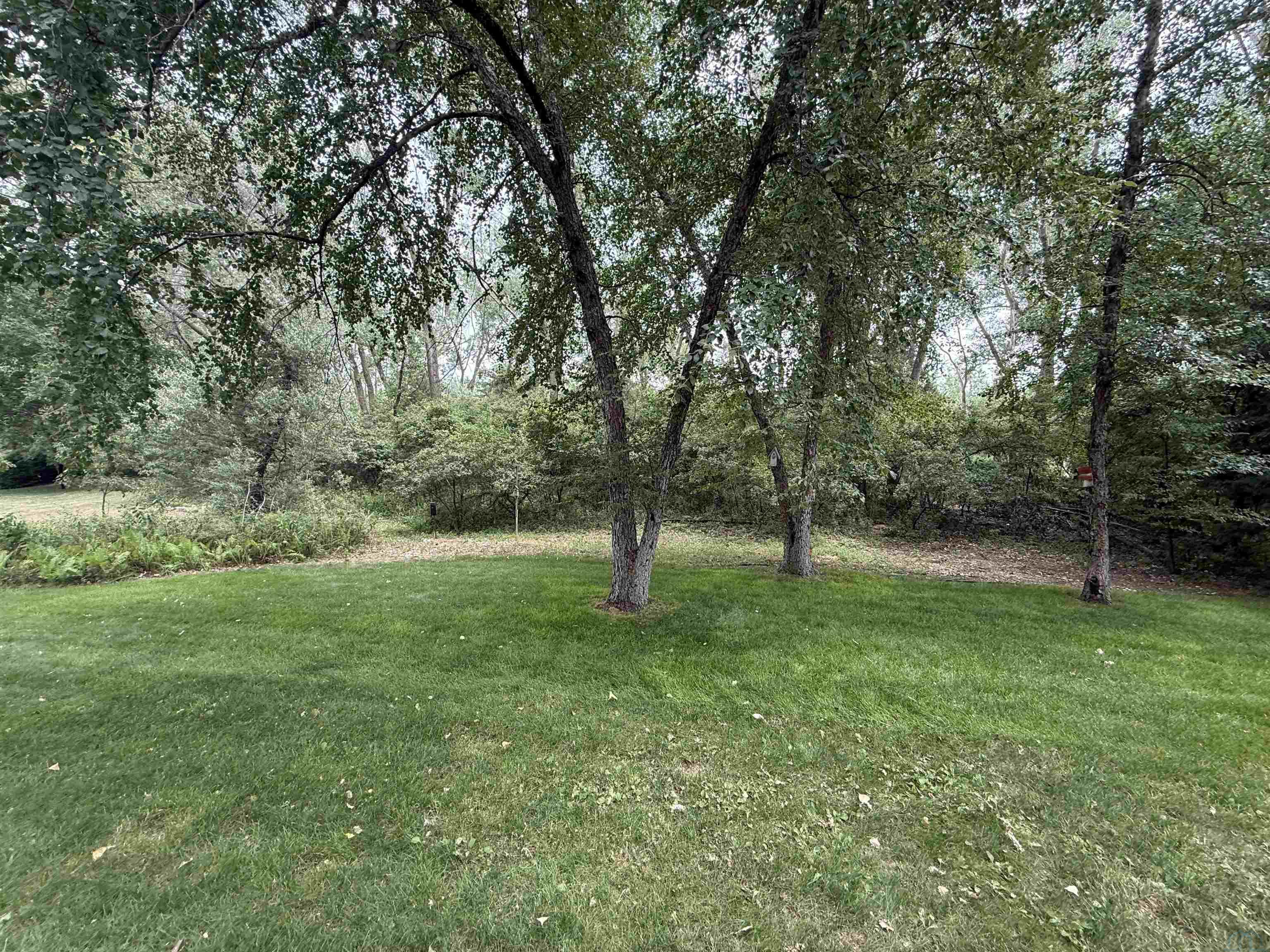 MLS #833937
