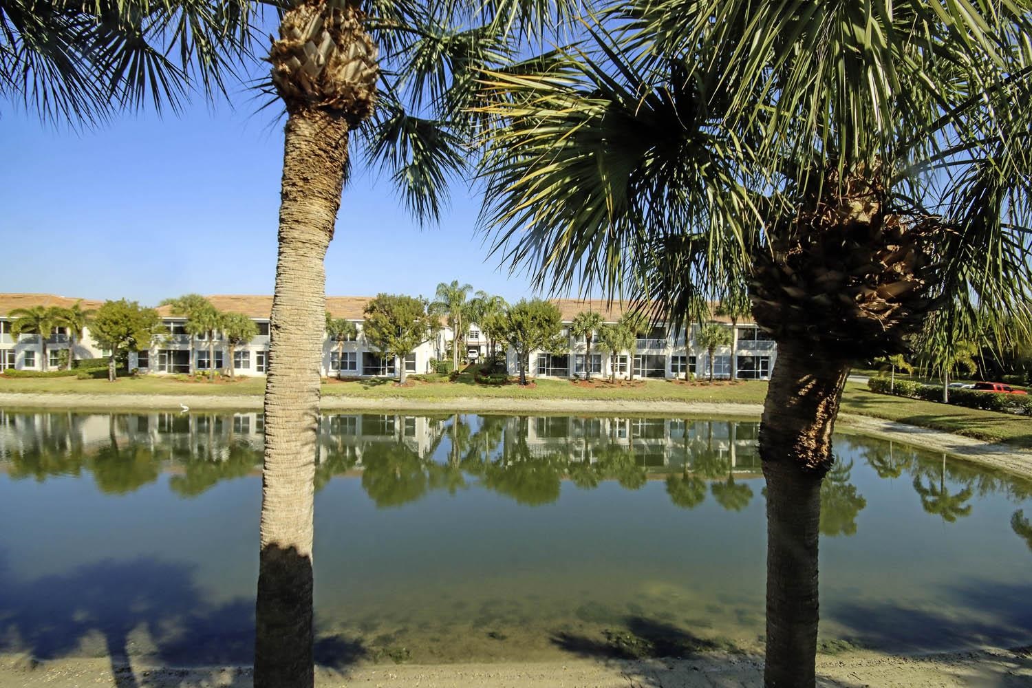 Welcome to the highly desirable Majestic Palms community in the heart – image 26