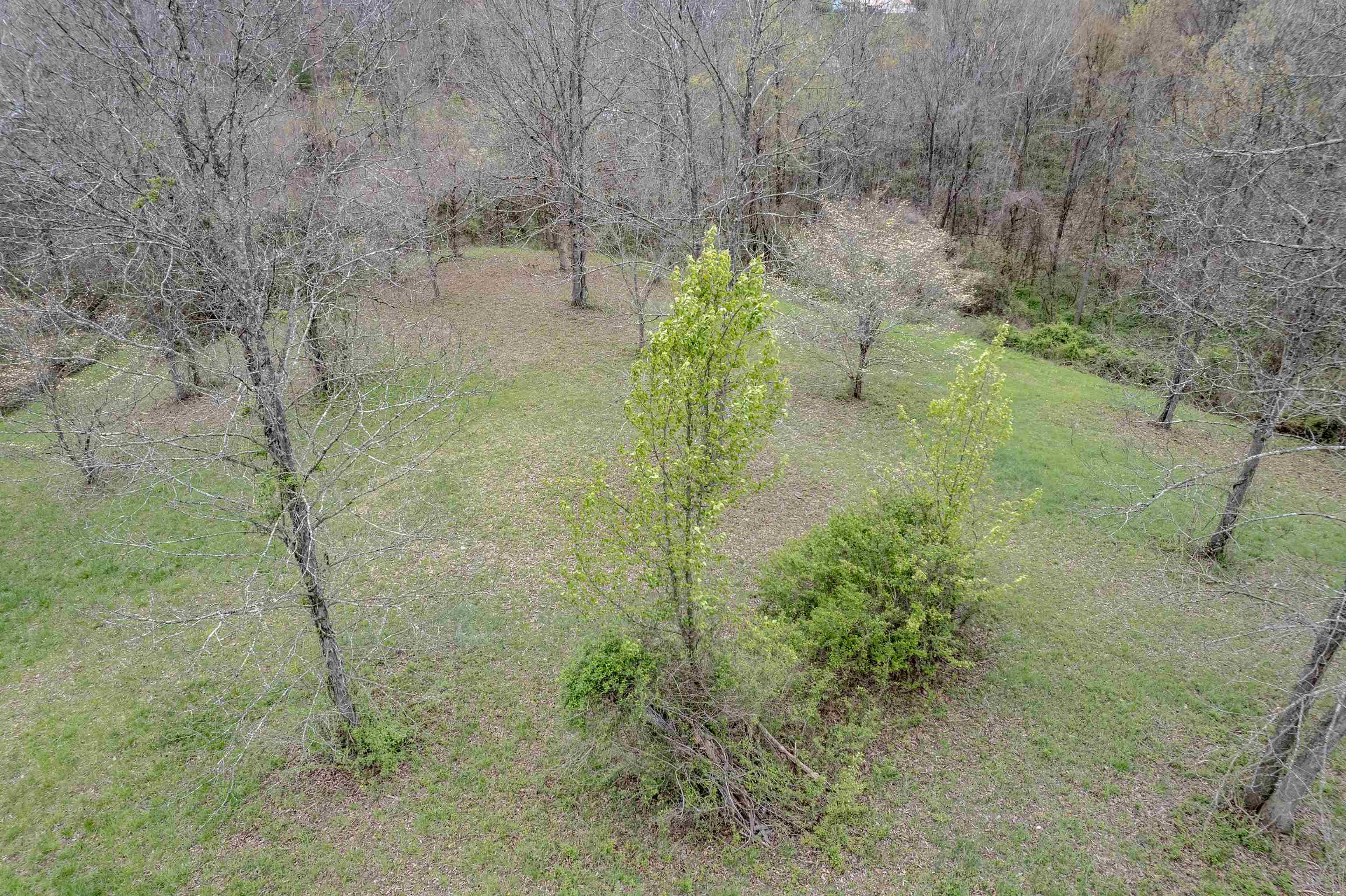 https://zimg.paragon.ice.com/ParagonImages/Property/PH/AABRKY/58591/1/0/0/438ae16c54407fa2e62bd0aba944449a/0/33e837c379016b733c62880ea2c47069/58591-c088ee7d-2f5a-4426-93b0-4bb74ee14b9f.JPG
