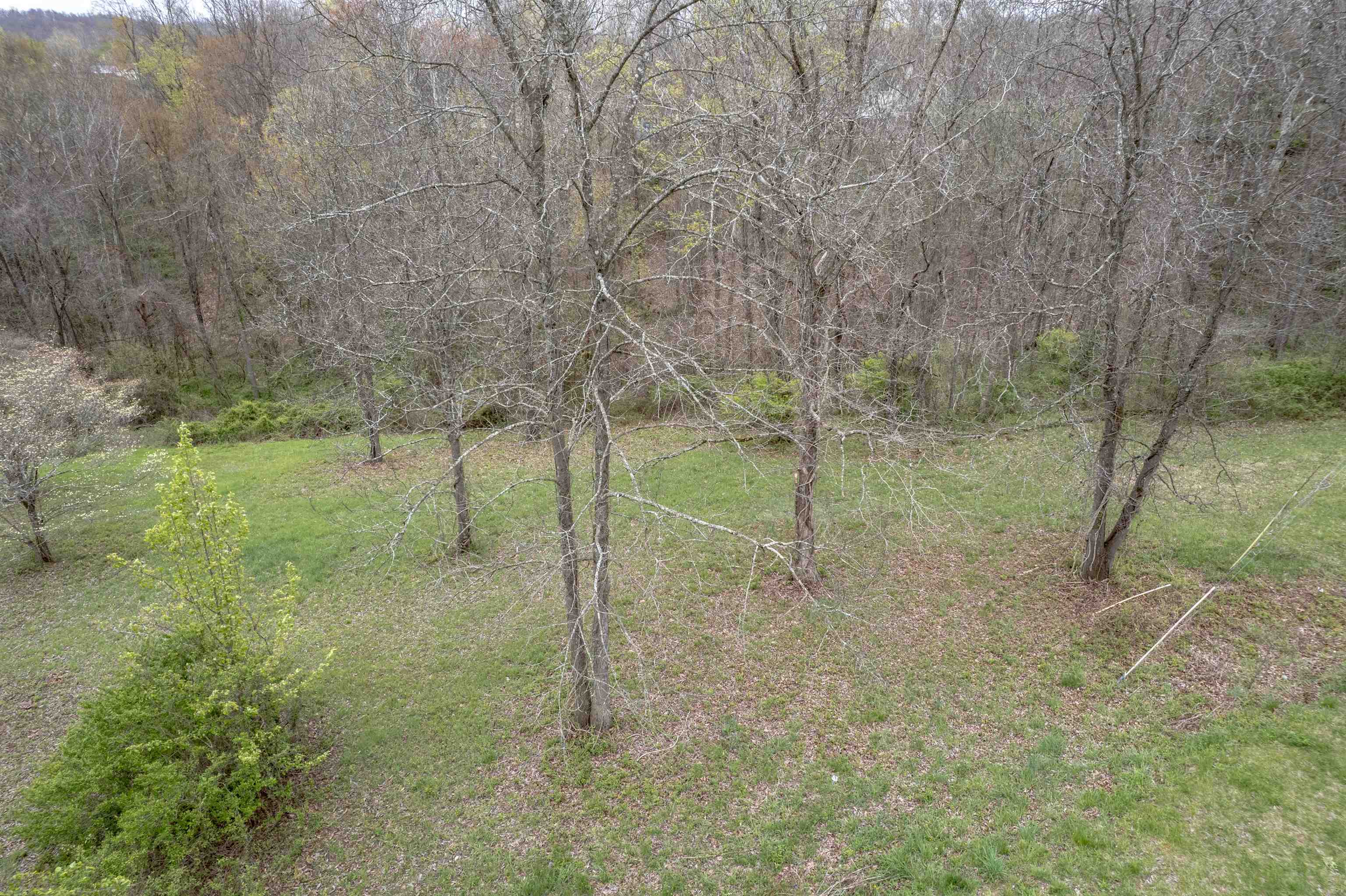 https://zimg.paragon.ice.com/ParagonImages/Property/PH/AABRKY/58591/2/0/0/b44d10e99ee376d778c60f7fb622b0ca/0/33e837c379016b733c62880ea2c47069/58591-a314203a-a301-4ad2-b73b-bb885f1218ab.JPG