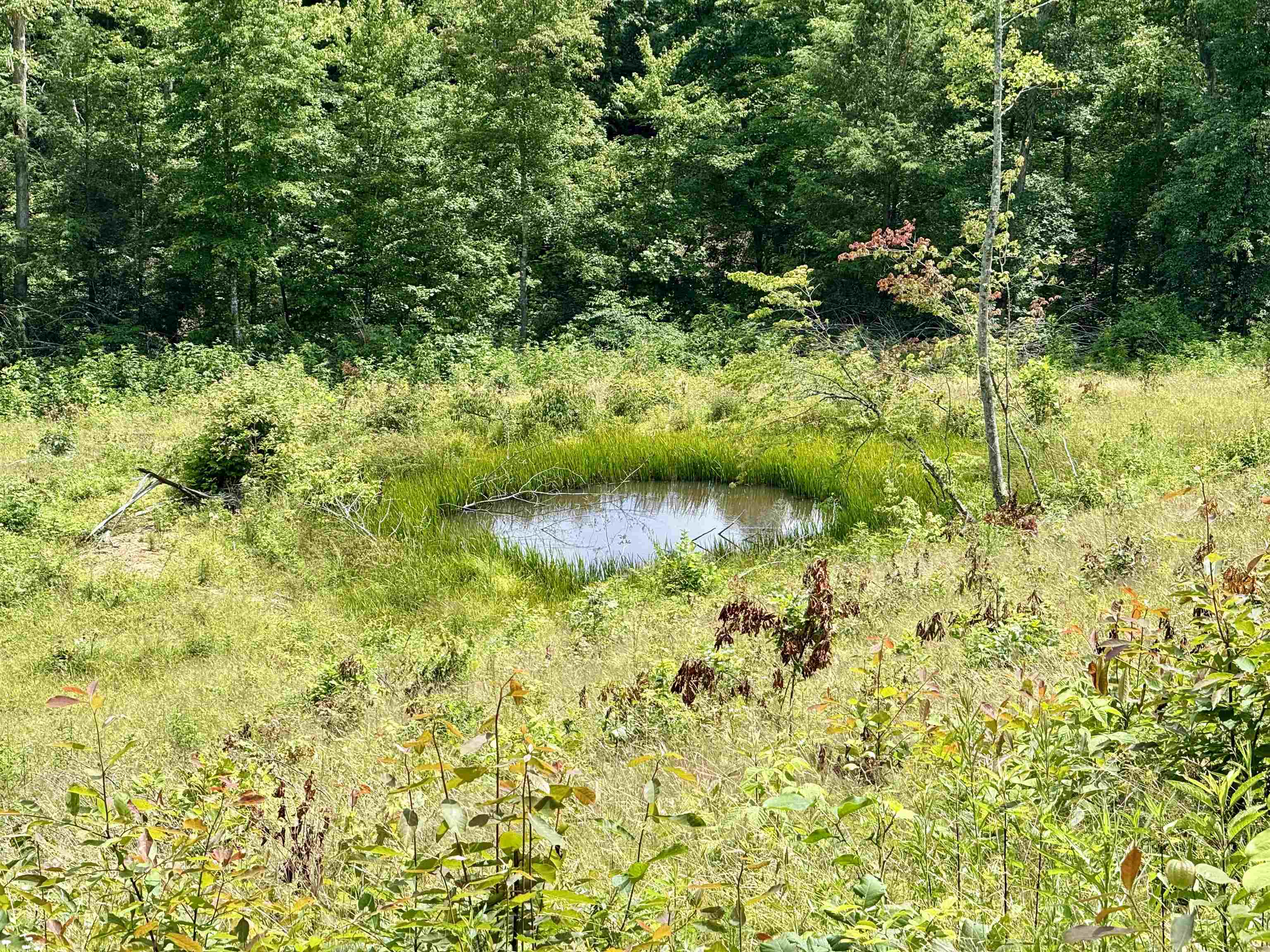 https://zimg.paragon.ice.com/ParagonImages/Property/PH/AABRKY/58965/10/0/0/ce49aa36a1276dcf83e462c331c51278/0/a486bfaebed93b402f644d6ae6456d45/58965-66b2c92a-5385-46c3-8930-889293e7b9af.JPG