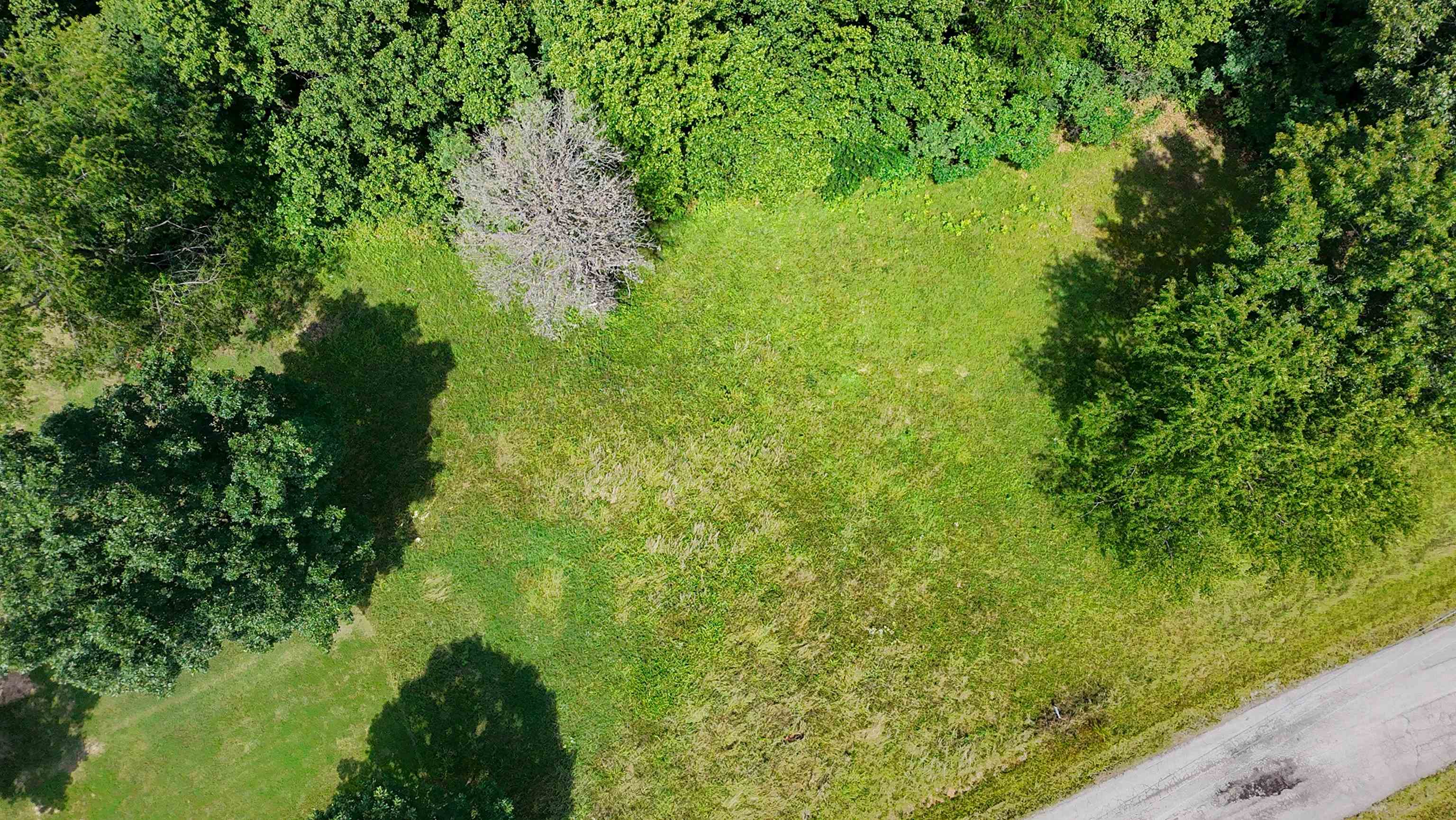 https://zimg.paragon.ice.com/ParagonImages/Property/PH/AABRKY/59026/1/0/0/c078d44a1d3026c816257e293a614f68/0/3faa0842af04b3fee02379ba80ae5998/59026-10aceade-e141-481b-b609-b7e7ce0de8f4.JPG