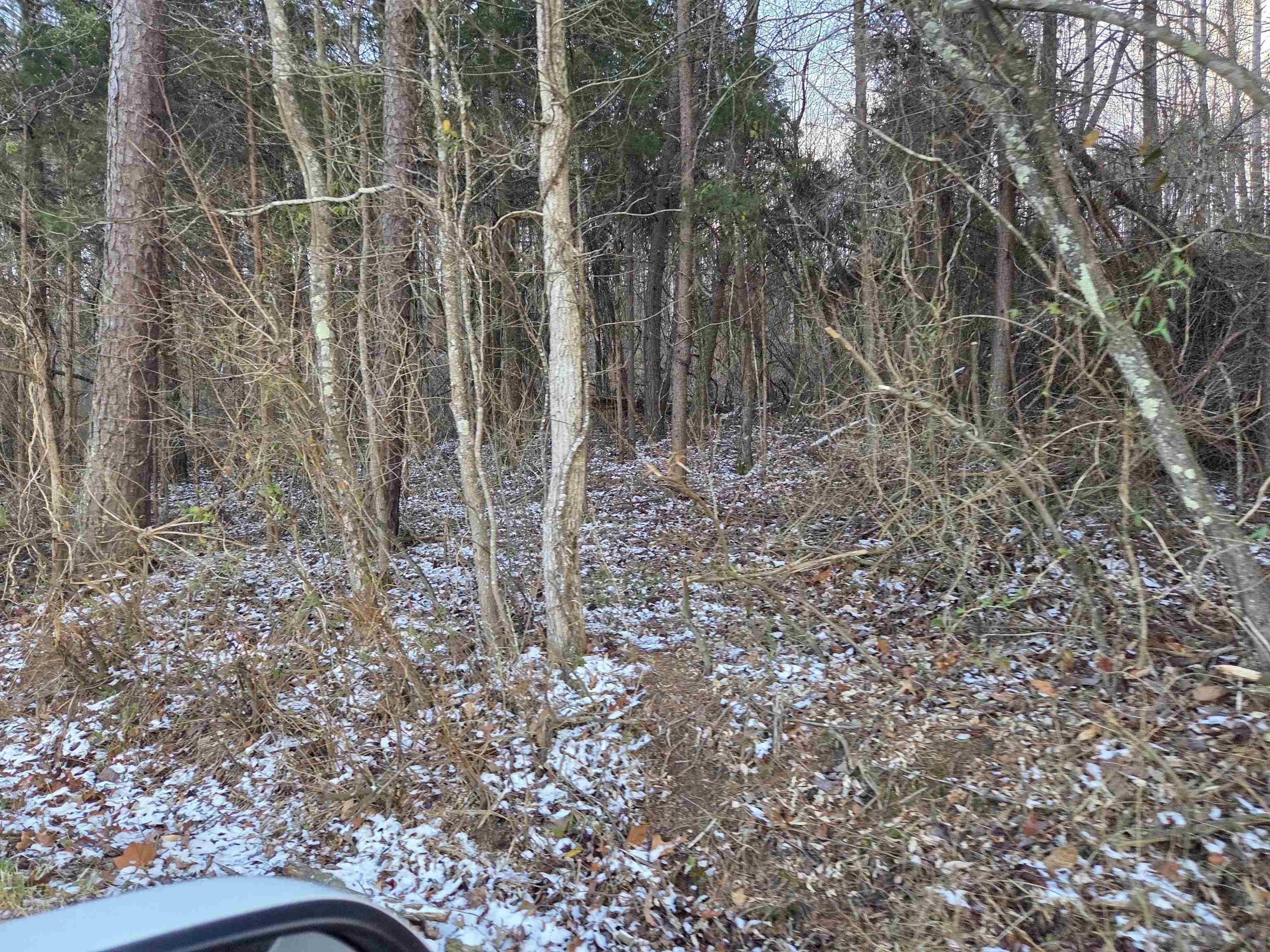 https://zimg.paragon.ice.com/ParagonImages/Property/PH/AABRKY/60059/11/0/0/874146ffc62b26389be85070089ac884/0/e40294c9ecd019677e0041b6cff93d62/60059-7186bfaf-f7b2-4451-a9da-4f2483cf2cdb.JPG