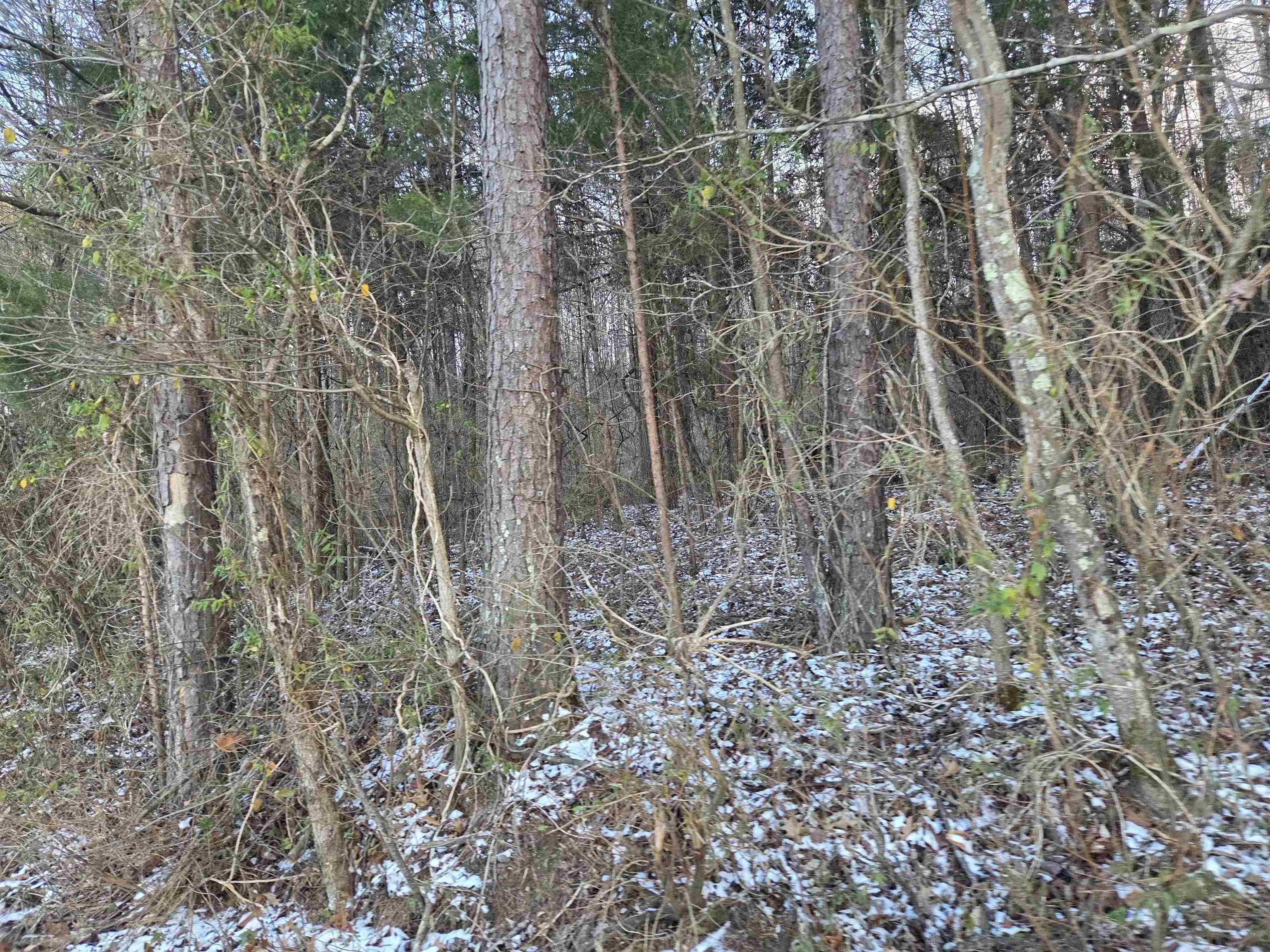 https://zimg.paragon.ice.com/ParagonImages/Property/PH/AABRKY/60059/12/0/0/ed170f0390cd109c20e5fc8119bcb73e/0/e40294c9ecd019677e0041b6cff93d62/60059-5dfbf6b1-be05-4662-a7ed-65e8da259856.JPG