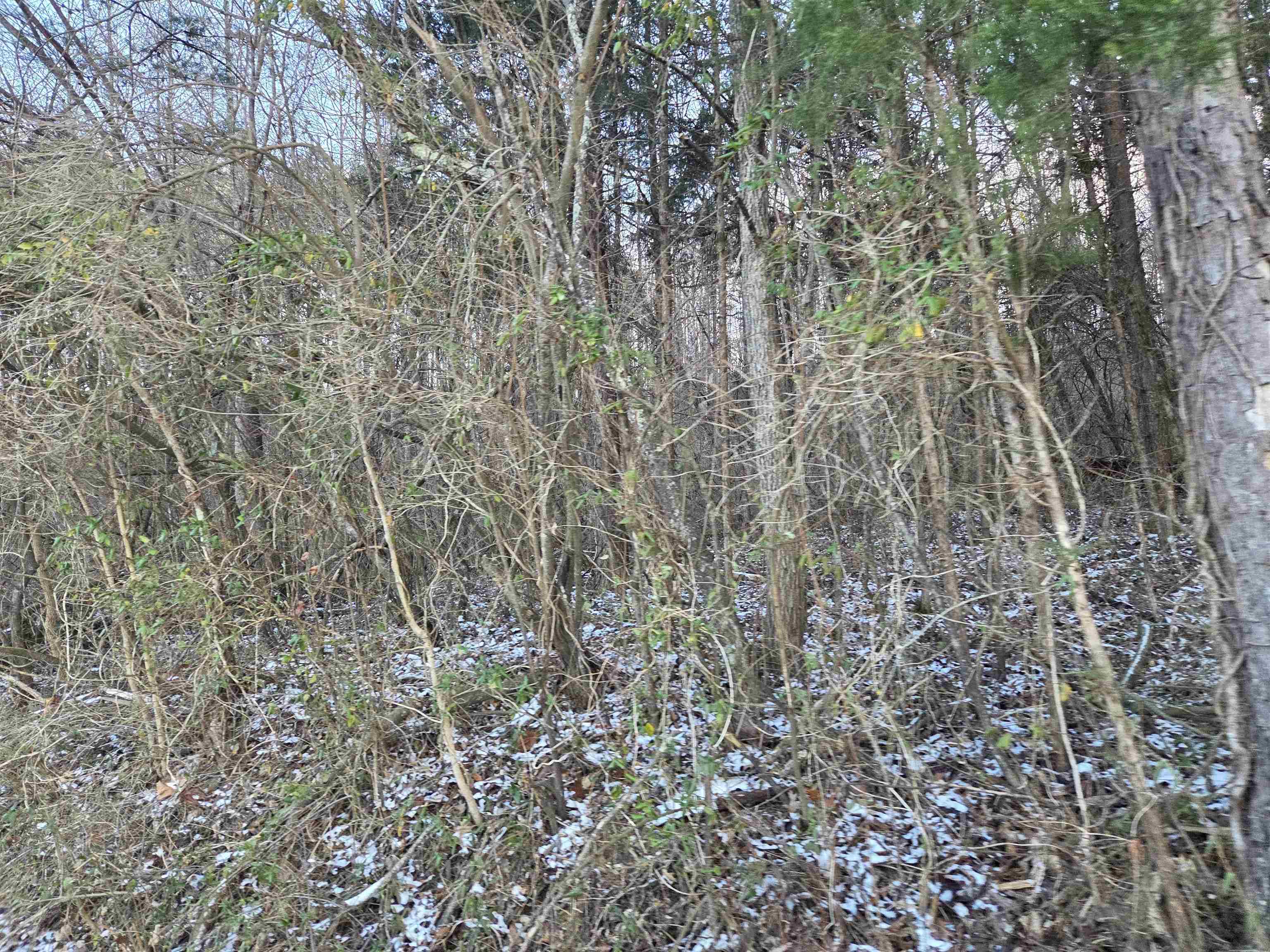 https://zimg.paragon.ice.com/ParagonImages/Property/PH/AABRKY/60059/13/0/0/744dd6b311ce240ed659eb26d9704420/0/e40294c9ecd019677e0041b6cff93d62/60059-d9ad9e66-2f87-4f48-823b-bf8a123d81ff.JPG