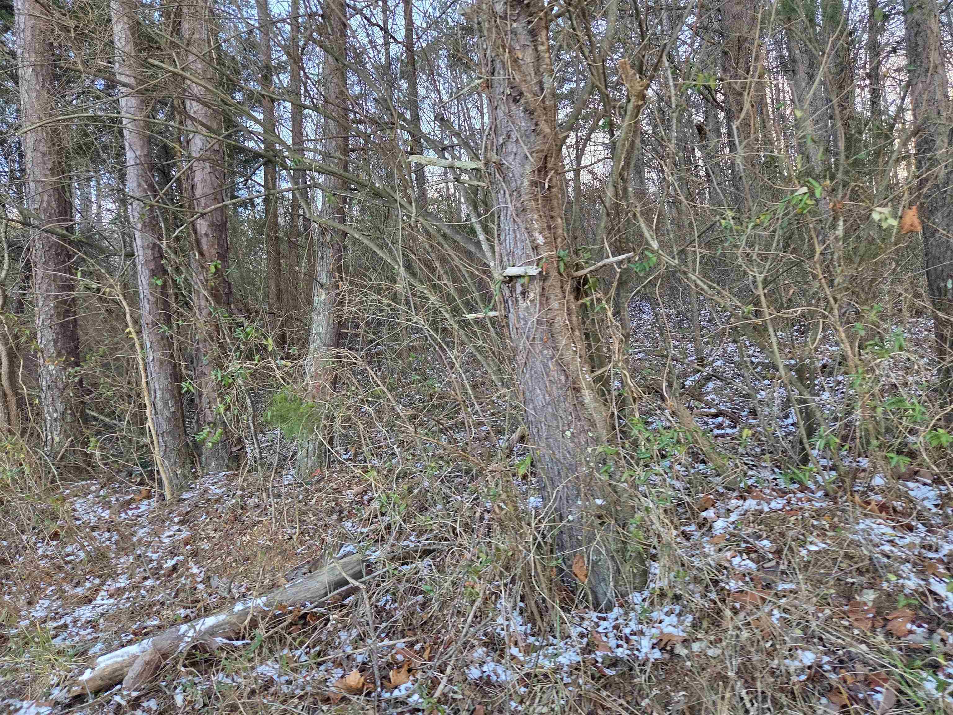 https://zimg.paragon.ice.com/ParagonImages/Property/PH/AABRKY/60059/6/0/0/c3631ef2b5af5bb0ee44fa6a2f427879/0/e40294c9ecd019677e0041b6cff93d62/60059-9e539ae4-a72e-455d-8cf7-92ed4c251c9c.JPG