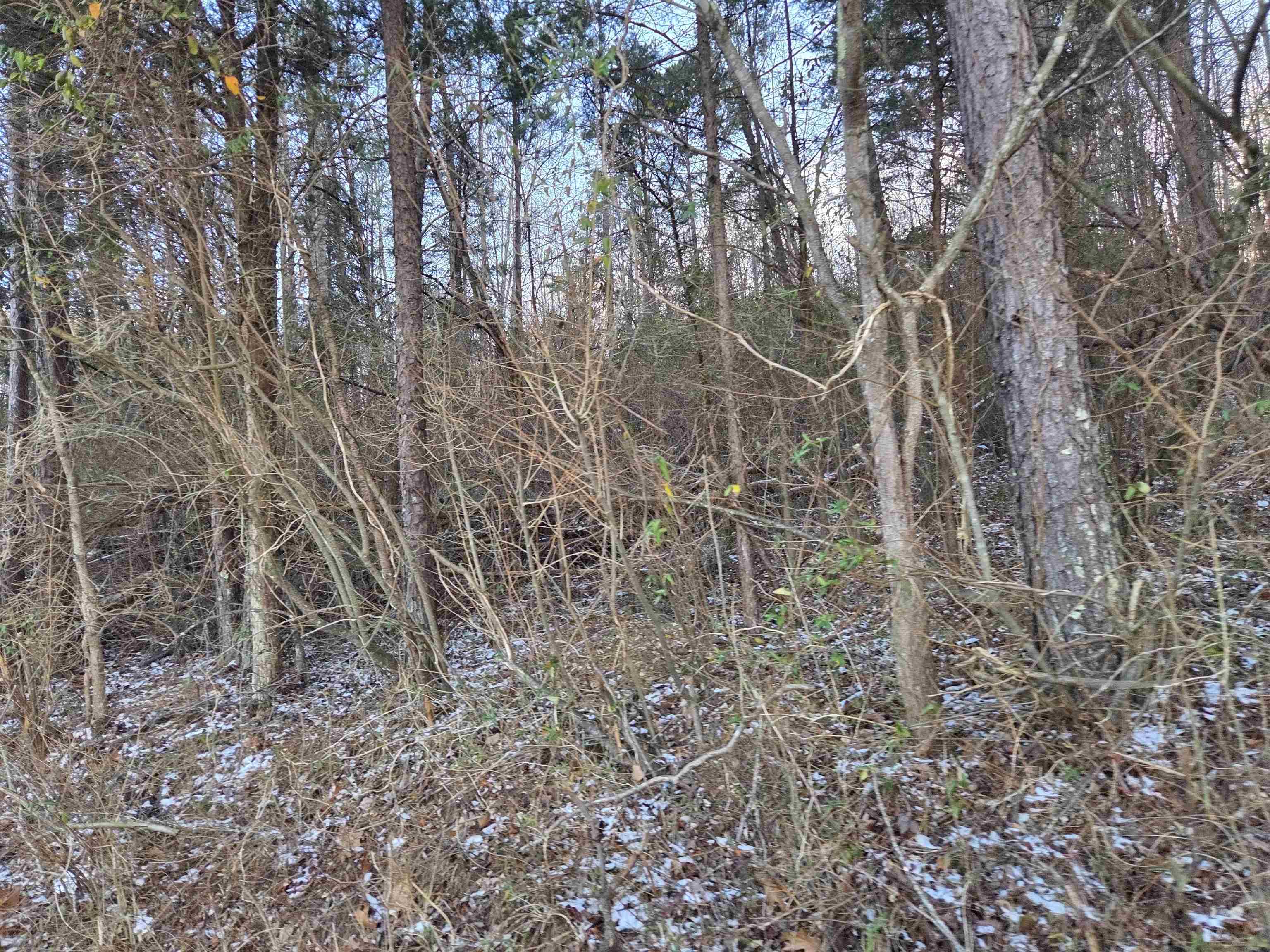 https://zimg.paragon.ice.com/ParagonImages/Property/PH/AABRKY/60059/7/0/0/32d51518bbcd59bc03719cff676973f6/0/e40294c9ecd019677e0041b6cff93d62/60059-eeb51322-1009-4559-83bb-1fa013bd8c00.JPG