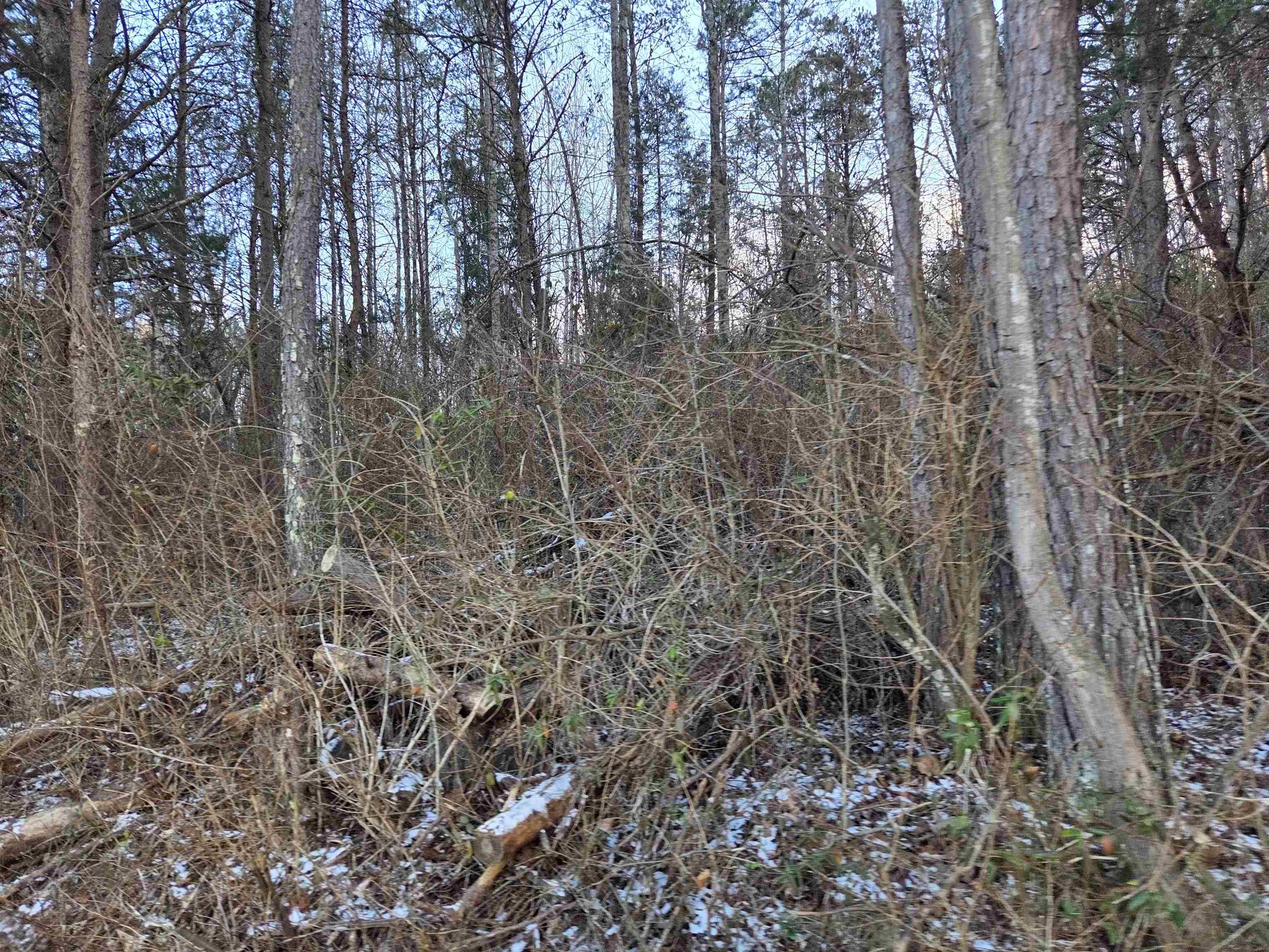 https://zimg.paragon.ice.com/ParagonImages/Property/PH/AABRKY/60059/8/0/0/5f276b620252a53199bac39b6ce57850/0/e40294c9ecd019677e0041b6cff93d62/60059-34cf4ba3-ecd5-4633-a372-e71096916f2a.JPG