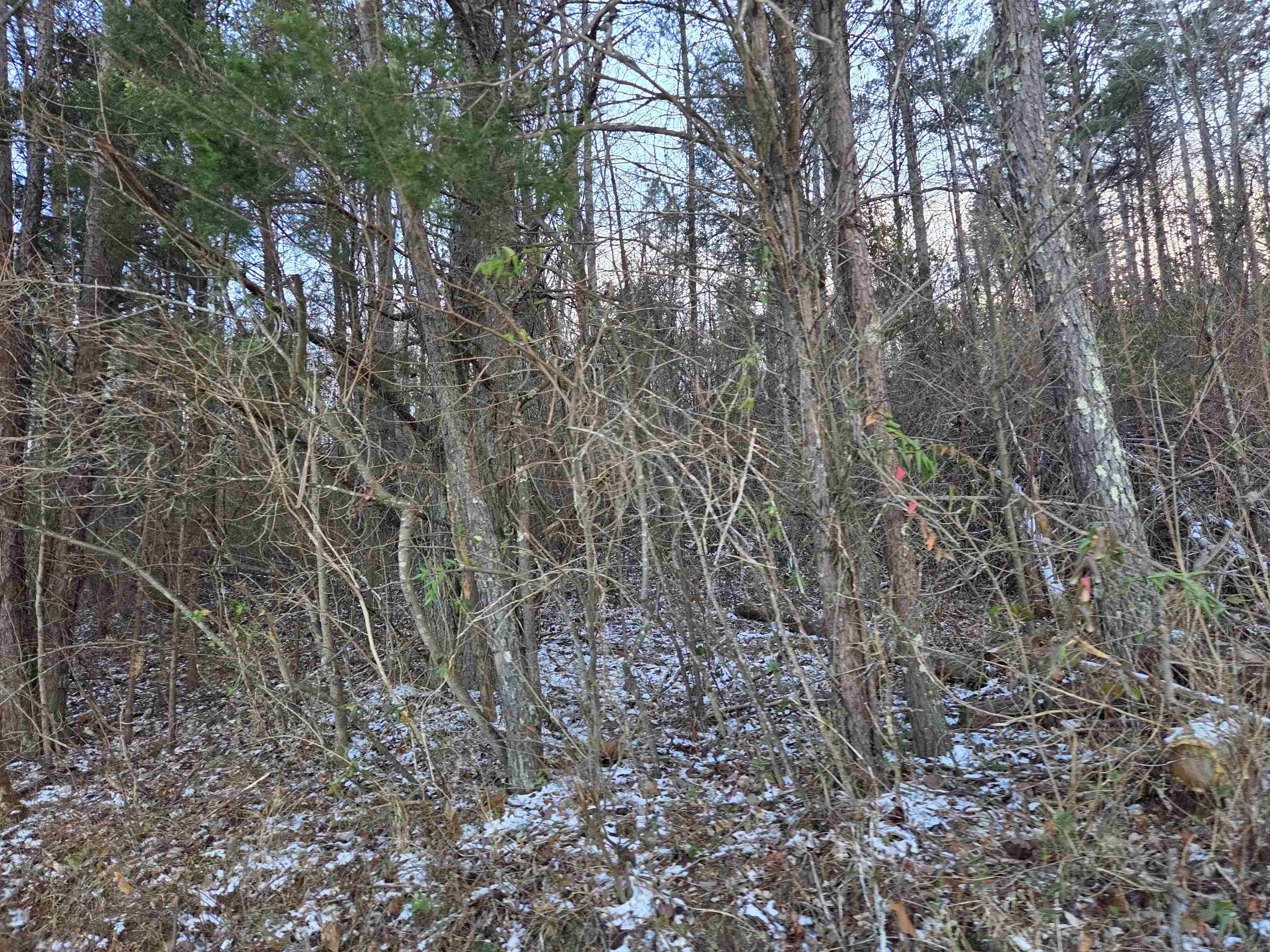 https://zimg.paragon.ice.com/ParagonImages/Property/PH/AABRKY/60059/9/0/0/b2f94b6f731738e3d4d53d0dfb3927d2/0/e40294c9ecd019677e0041b6cff93d62/60059-c64f9564-b4d0-422e-a452-898cd7f42683.JPG