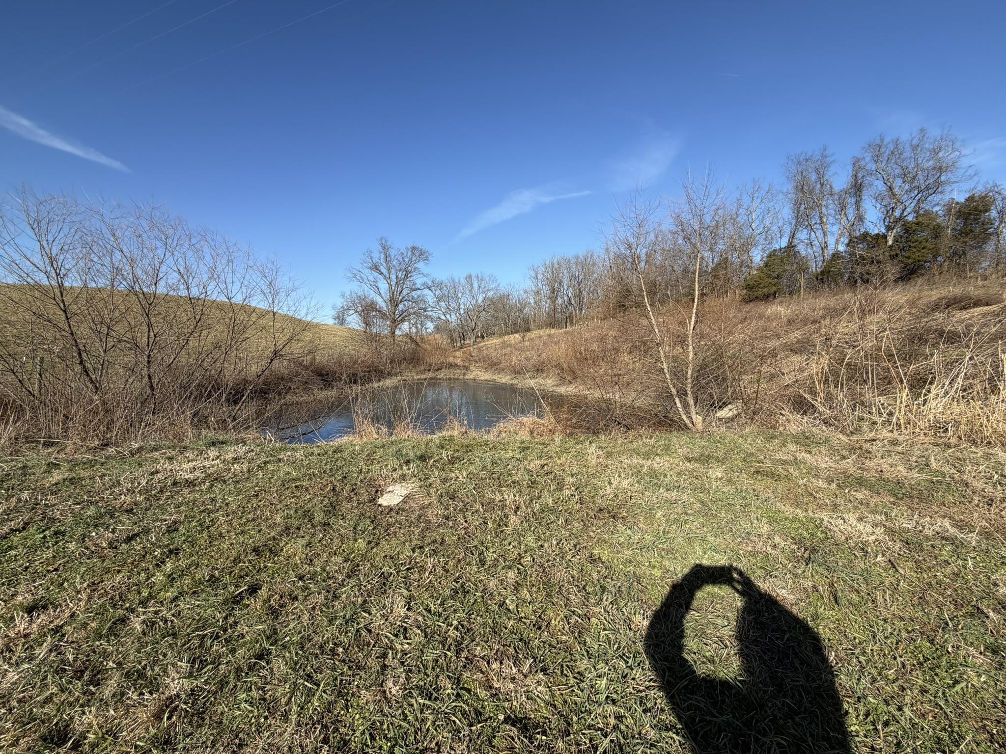 https://zimg.paragon.ice.com/ParagonImages/Property/PH/AABRKY/60076/8/0/0/18ac536687d361601a40d788557e3643/0/7d1574a4cf5211822f82b5ff6d1ddbf5/60076-9ea96301-5ca1-4197-bf9d-0e87ca696982.JPG