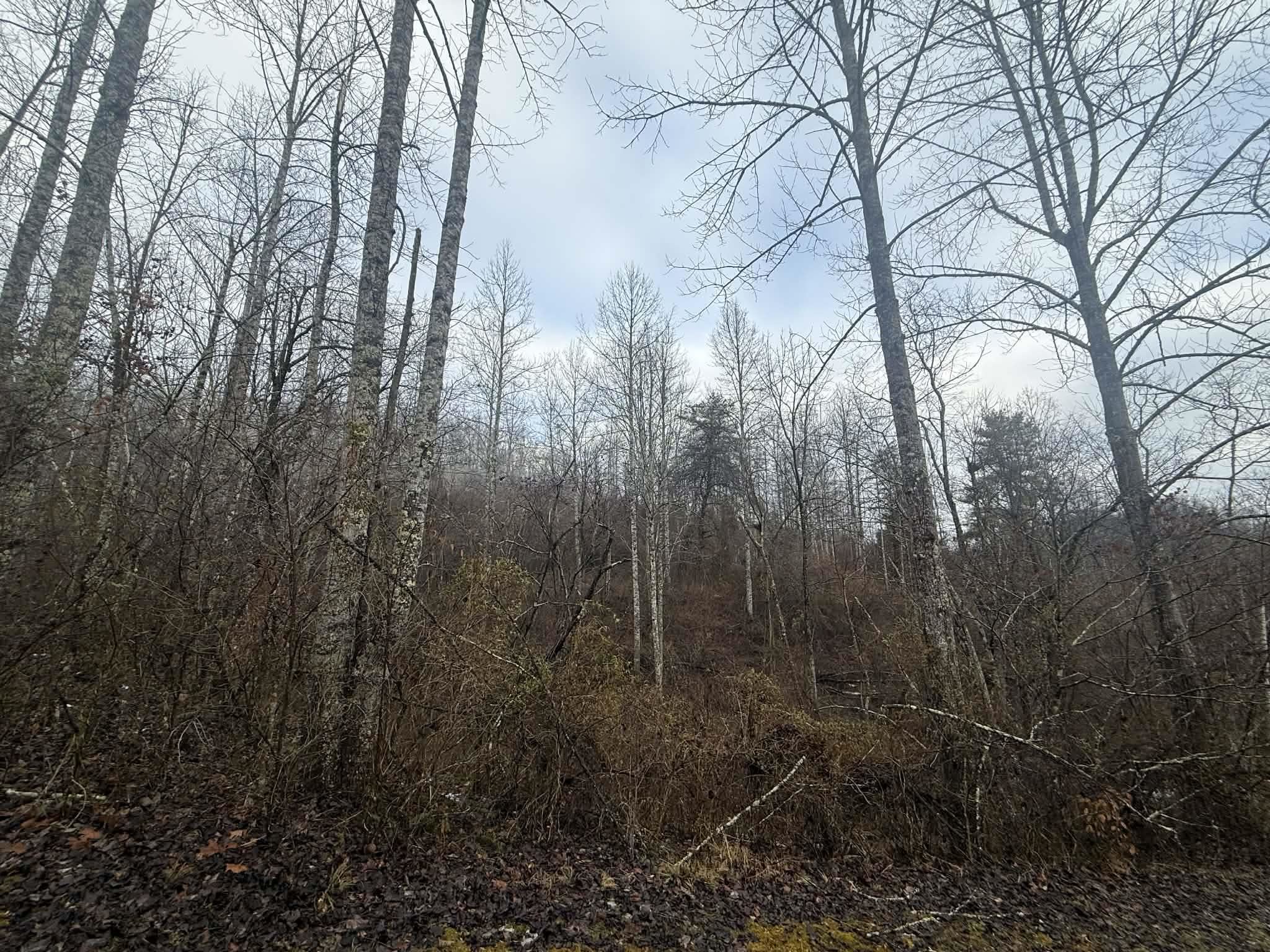 https://zimg.paragon.ice.com/ParagonImages/Property/PH/AABRKY/60154/10/0/0/302a794f392e2ef8b9f74be6ce09875f/0/d96ed4f671efb32891a2550a7462a348/60154-e9da5e8f-d78a-48d8-b395-c64a3bf49ca7.JPG
