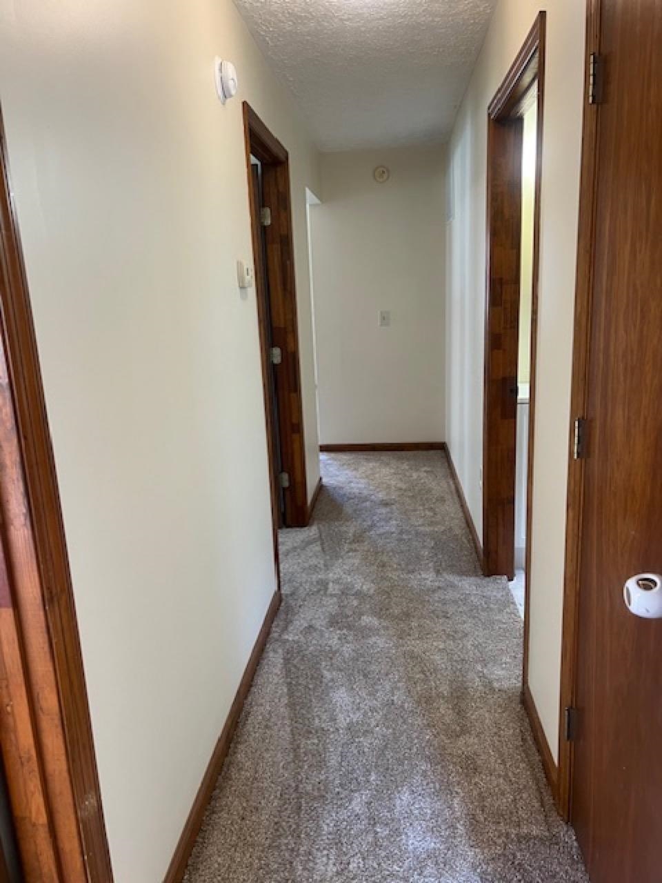 https://zimg.paragon.ice.com/ParagonImages/Property/PH/AABRKY/60240/5/0/0/5dbdbc59688678d9b4cebbeb2d604ccf/0/af5e71a2e7c06297868707ebfc651d81/60240-e827b29b-db8c-4b66-a5f3-3acf3b0db213.JPG