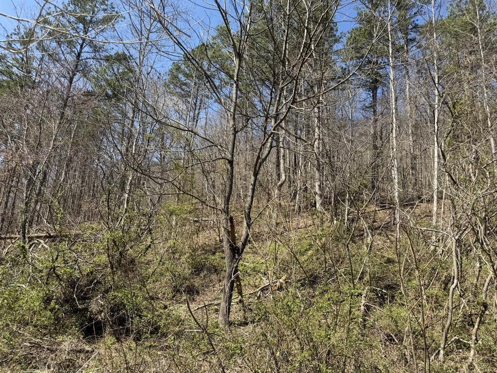 9648 & 9656 N Highway 201