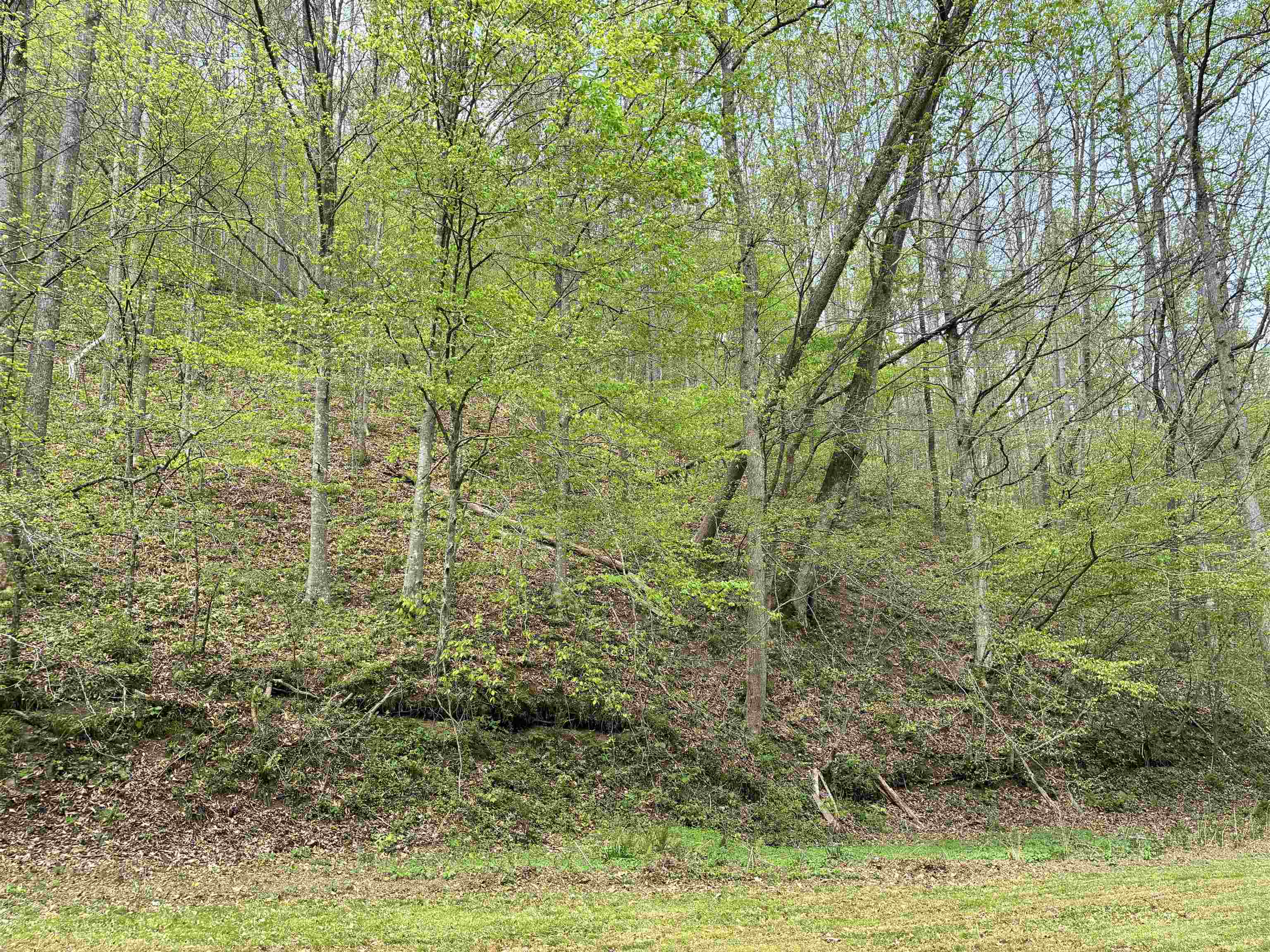 https://zimg.paragon.ice.com/ParagonImages/Property/PH/AABRKY/60535/1/0/0/4c8934fb5a65c50eea4d5ef391695c48/0/10435979d40a25a7aa9897f7bfa80ce2/60535-7138822a-bbaa-4f55-97d5-b634ffc9a428.JPG