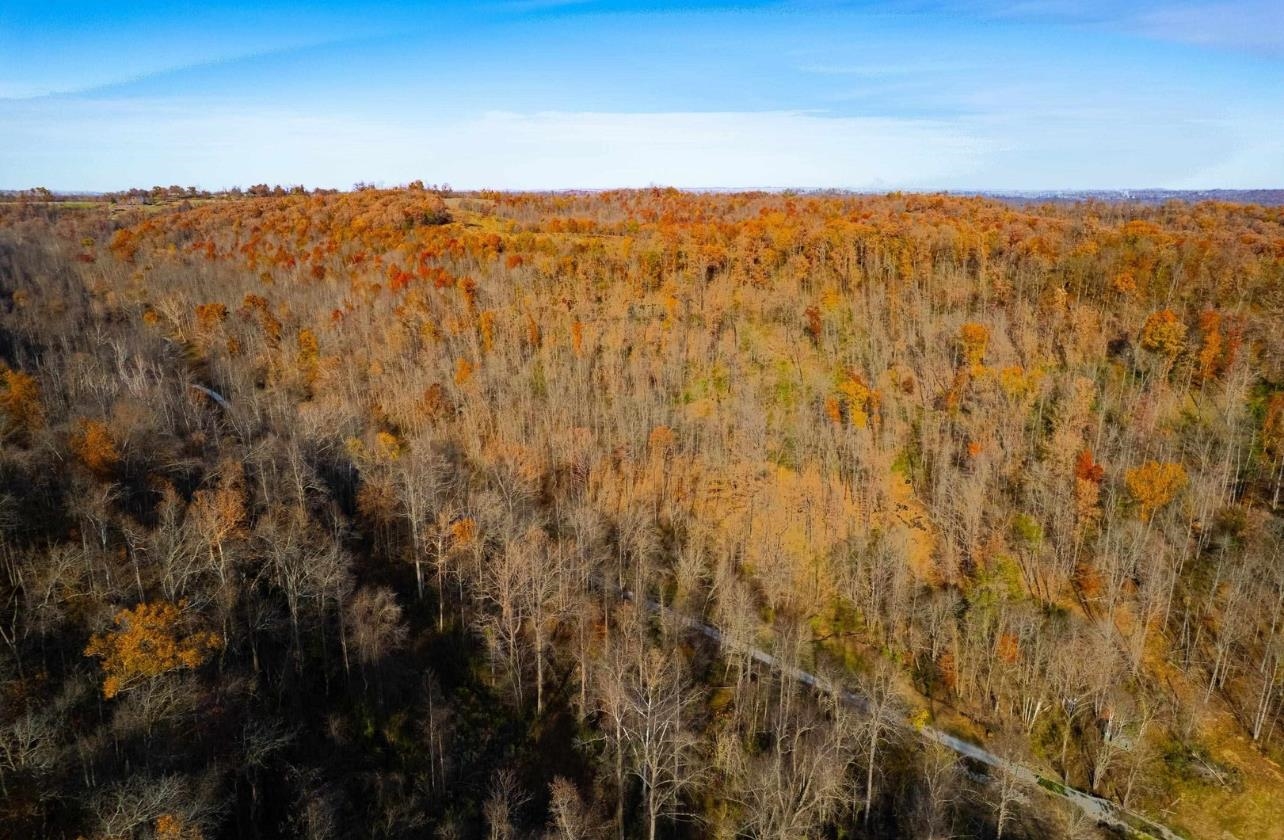 https://zimg.paragon.ice.com/ParagonImages/Property/PH/AABRKY/60539/1/0/0/bfe3c01d73d8aac50abf613824d1823d/0/83d65636fb44a72ffe44da55c8facc1e/60539-5667312e-8824-4f15-ae57-9320bc9c6129.JPG