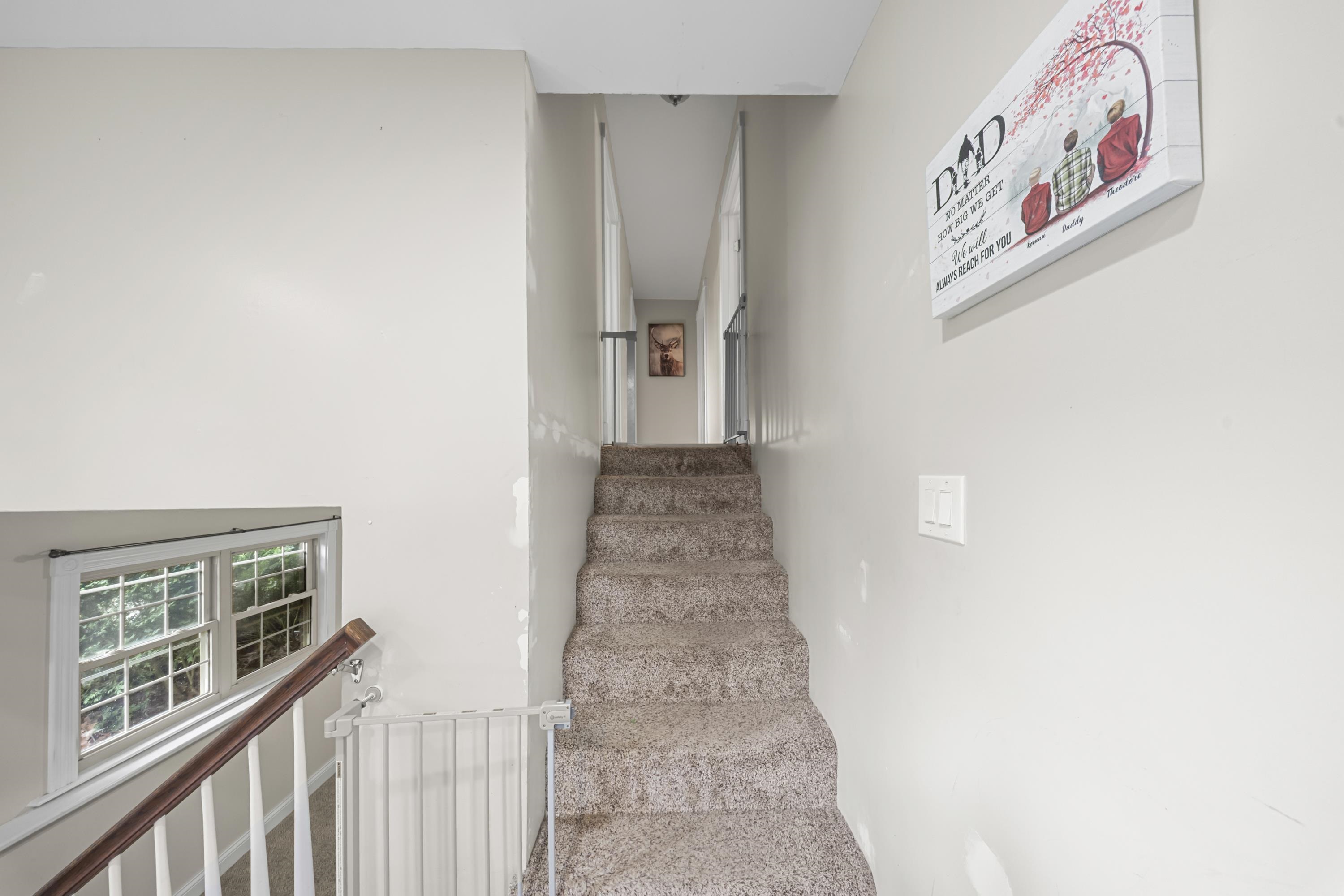 5438 Don Road