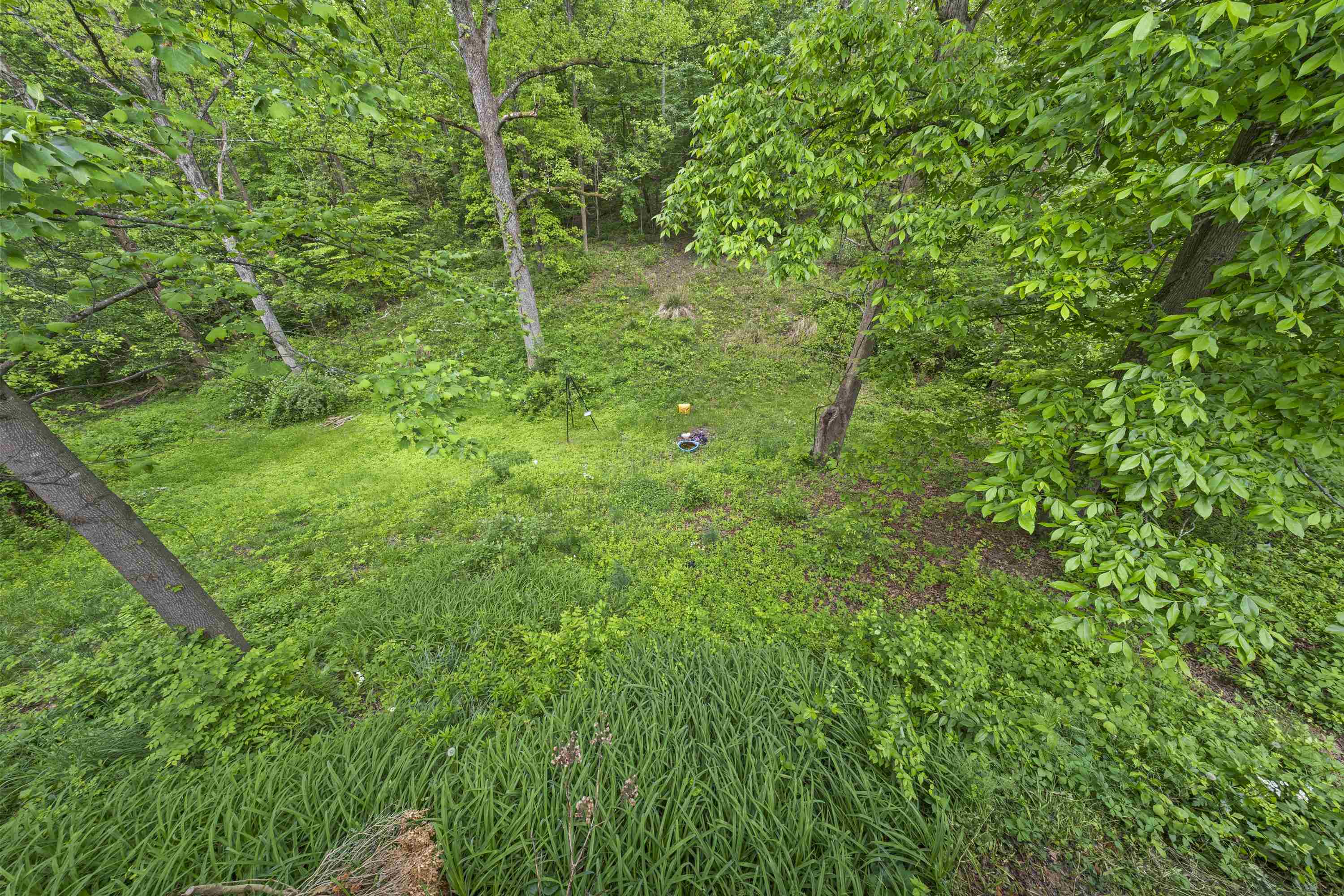 5438 Don Road