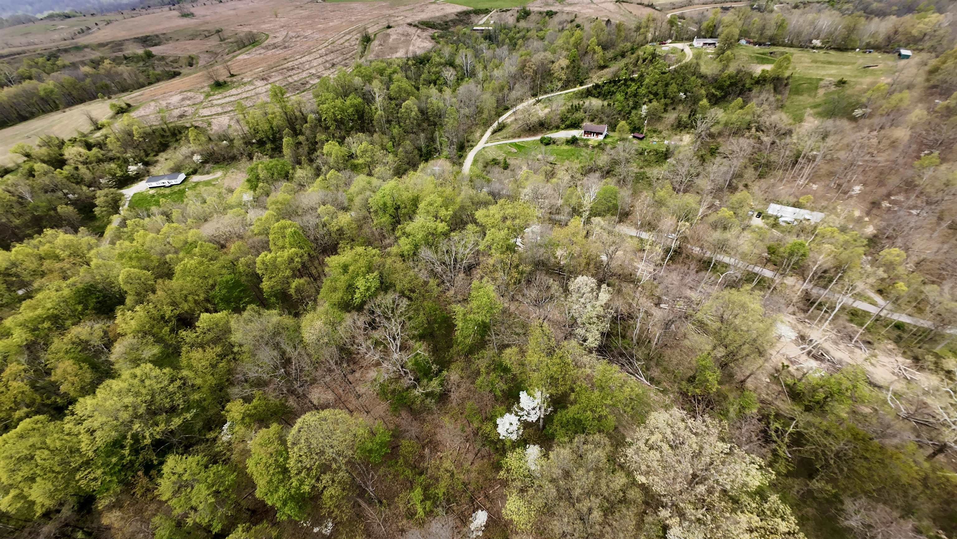 https://zimg.paragon.ice.com/ParagonImages/Property/PH/AABRKY/60564/2/0/0/0d6447e54b5ad9569871776f53325813/0/5d554de56a4ac43dbda95ca3be5489a1/60564-8ba60362-2bed-400a-ab7b-a9136ccbbee7.JPG