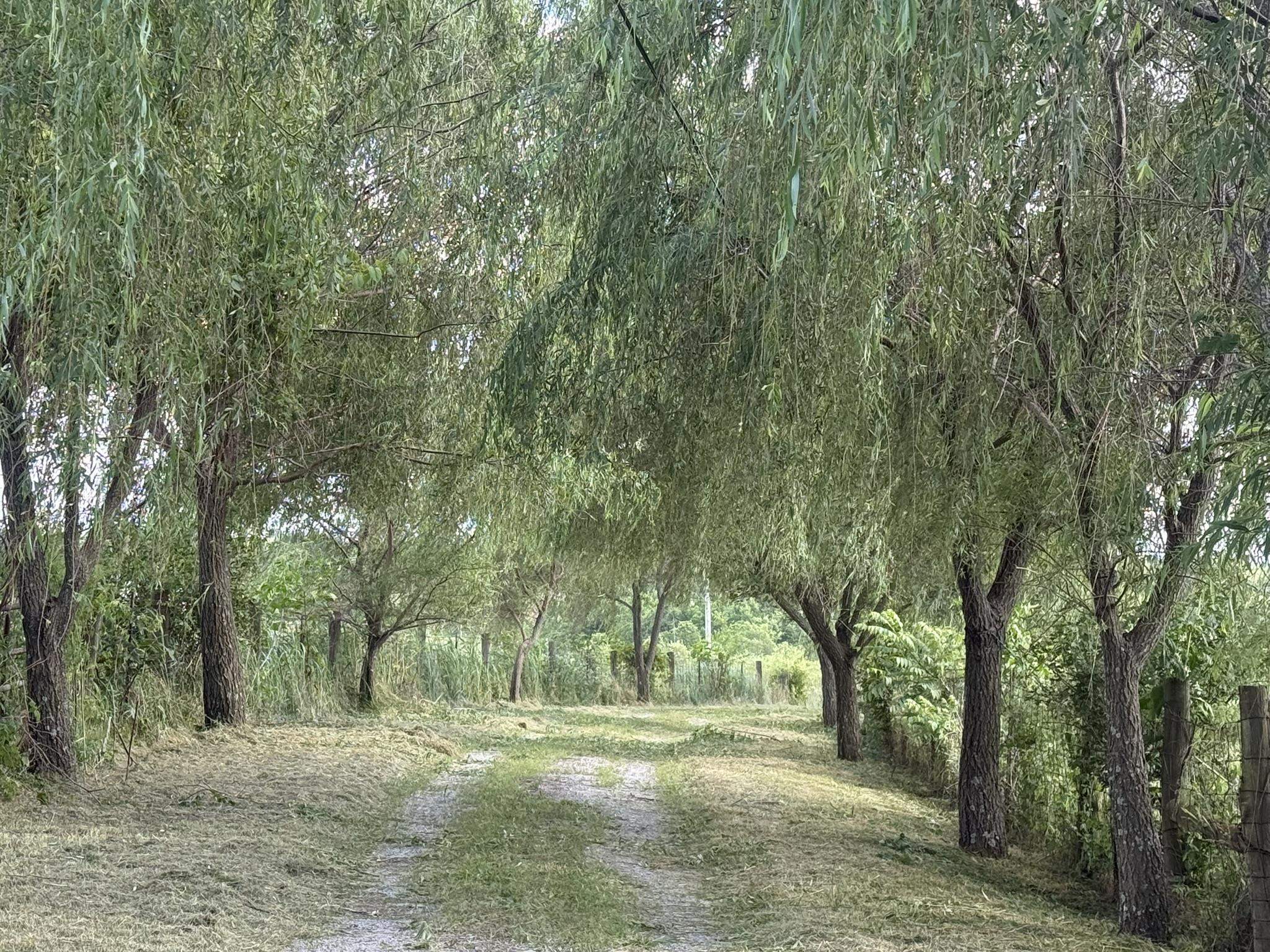 https://zimg.paragon.ice.com/ParagonImages/Property/PH/AABRKY/60809/5/0/0/0bb7fd3370bea09165b799c6f078acd0/0/da2a7832a8c53dfddebbb530b1be4485/60809-18d40396-9d22-4a3f-a90c-344d0e547815.JPG