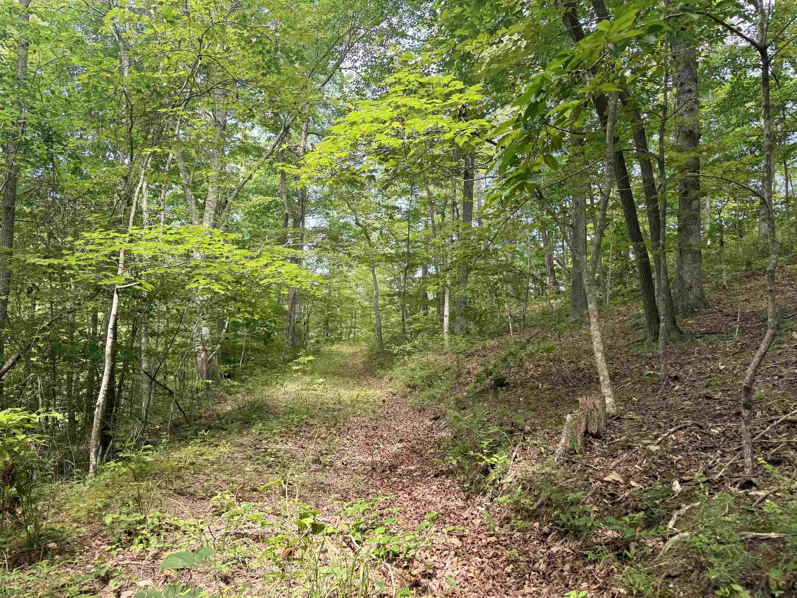 https://zimg.paragon.ice.com/ParagonImages/Property/PH/AABRKY/60852/5/0/0/52e2415d2a6682053242ae4208914d28/0/3540470d9046ba0031e02cf42844297f/60852-2fc616a0-59d3-4e4f-978b-53751dc760d9.JPG