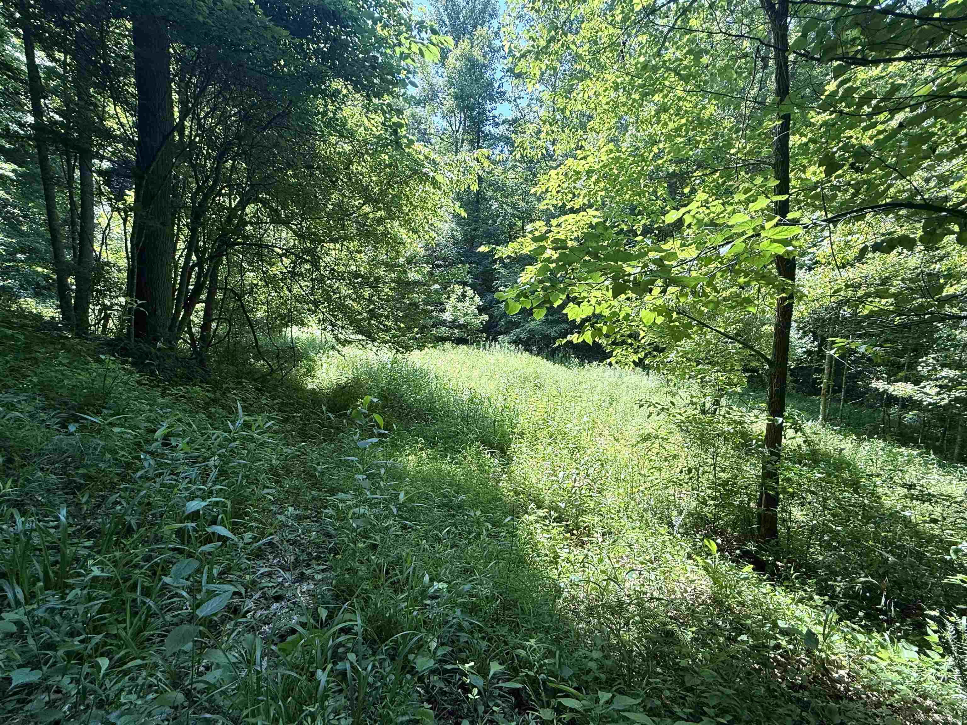 https://zimg.paragon.ice.com/ParagonImages/Property/PH/AABRKY/60852/8/0/0/dd204218ea17bfef56a6837462fa404b/0/3540470d9046ba0031e02cf42844297f/60852-6ca57c66-0b67-4a43-81b4-9fb919f261bb.JPG
