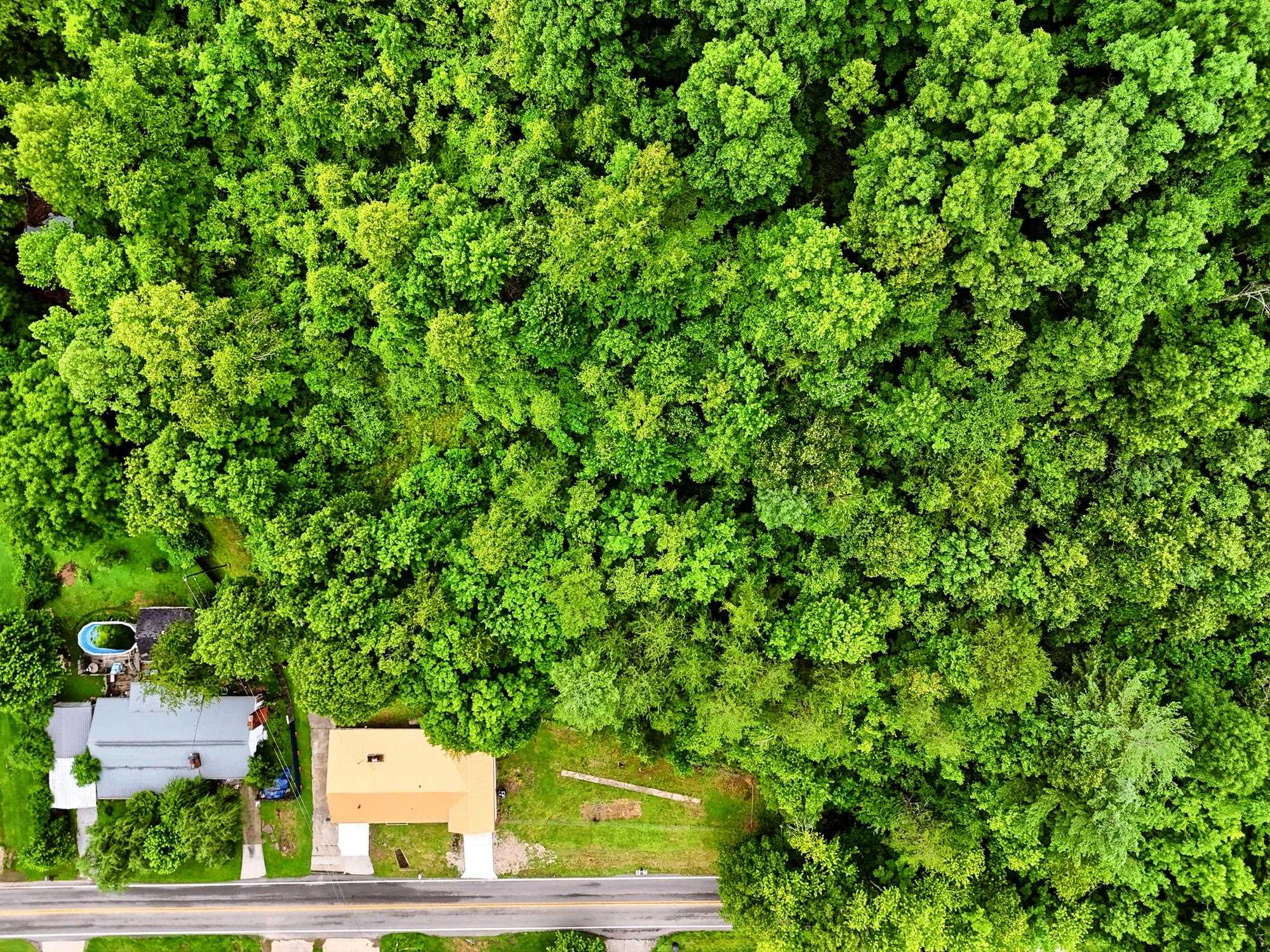 https://zimg.paragon.ice.com/ParagonImages/Property/PH/AABRKY/60868/5/0/0/fb277f0f7021905e59c28973fbd29259/0/76927fec3f7ef2b55d4e80dfc679d490/60868-849162ba-2996-472b-a687-657b80ac62b5.JPG