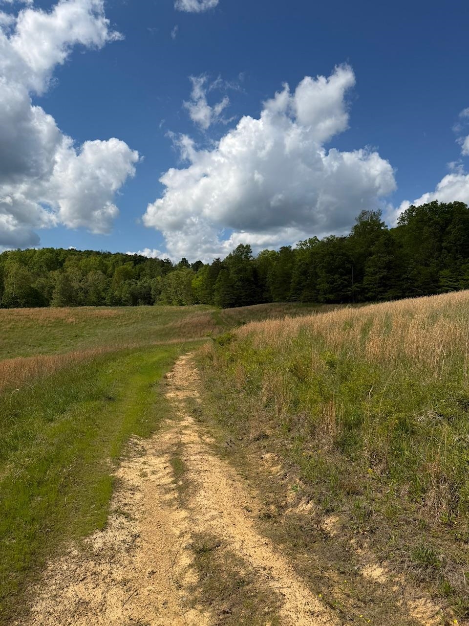 https://zimg.paragon.ice.com/ParagonImages/Property/PH/AABRKY/60877/1/0/0/8b59a787bfd5b45dea0bd94139e22eaa/0/3fcad78be132881c70dc4634830621ca/60877-4fa92956-329f-4e2c-ab9a-c5ab0584631b.JPG