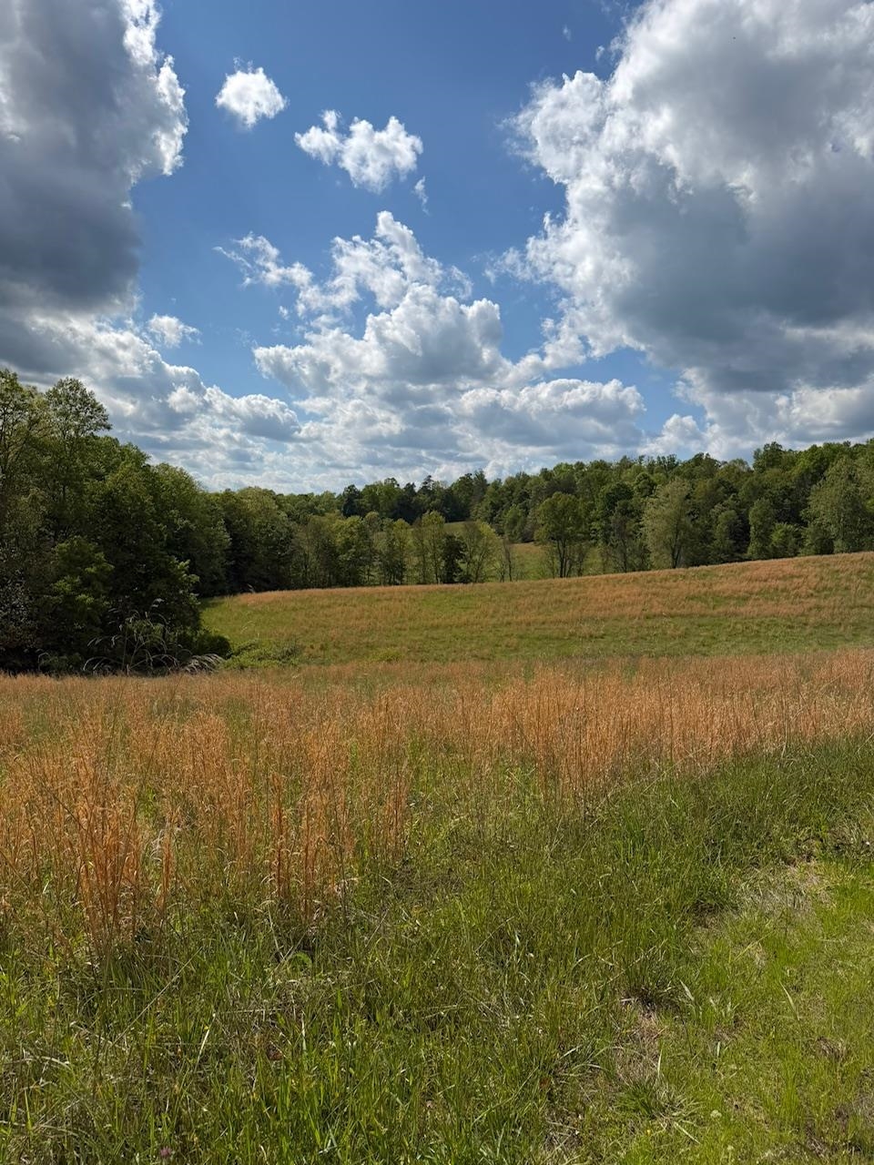 https://zimg.paragon.ice.com/ParagonImages/Property/PH/AABRKY/60877/2/0/0/631accb375bd78ed5961b915f7d6ef5f/0/3fcad78be132881c70dc4634830621ca/60877-e923558c-9310-4768-96b1-ffb1c856ad0b.JPG