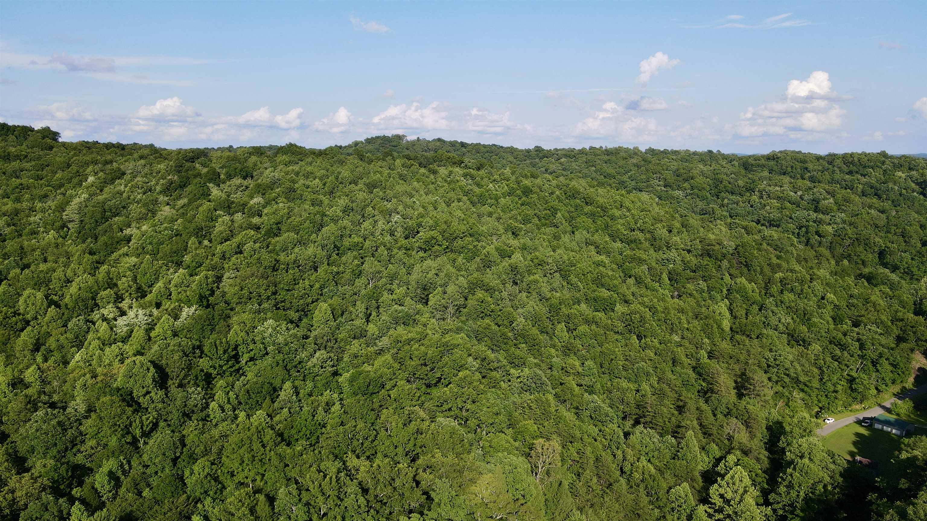 https://zimg.paragon.ice.com/ParagonImages/Property/PH/AABRKY/60880/2/0/0/28d4c50ed35ab271369252f2c5d63764/0/ed179d4da61feef1ffaddbd2ee8011e1/60880-75fad514-44a6-4cc9-9cc4-928bd9d59918.JPG