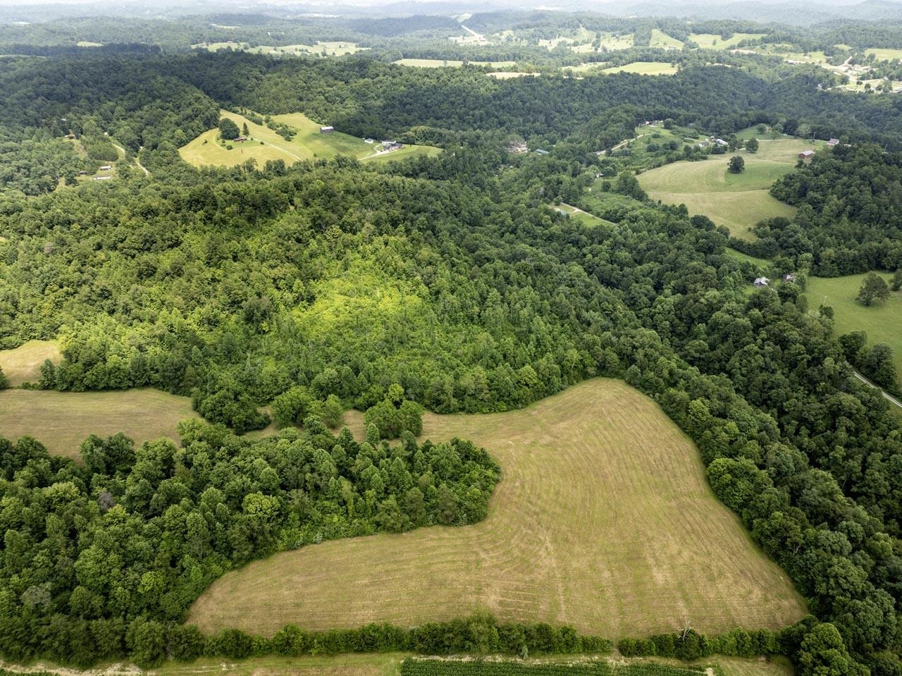 https://zimg.paragon.ice.com/ParagonImages/Property/PH/AABRKY/60881/5/0/0/cddf7ea5da59ff15346afb7b184d05f8/0/3d5f387e47068faa77fc9efd1063cd65/60881-8f538c27-10c9-4617-923f-e38508872459.JPG