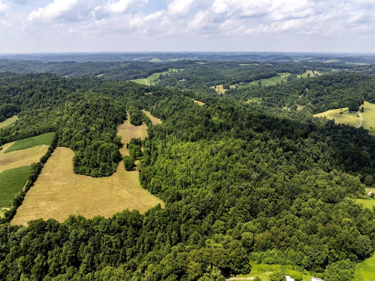 https://zimg.paragon.ice.com/ParagonImages/Property/PH/AABRKY/60881/6/0/0/a42f2d4c044271a8daae1c0e10d68217/0/3d5f387e47068faa77fc9efd1063cd65/60881-10324cd3-f4a8-4729-bc81-b8cd6de13c10.JPG